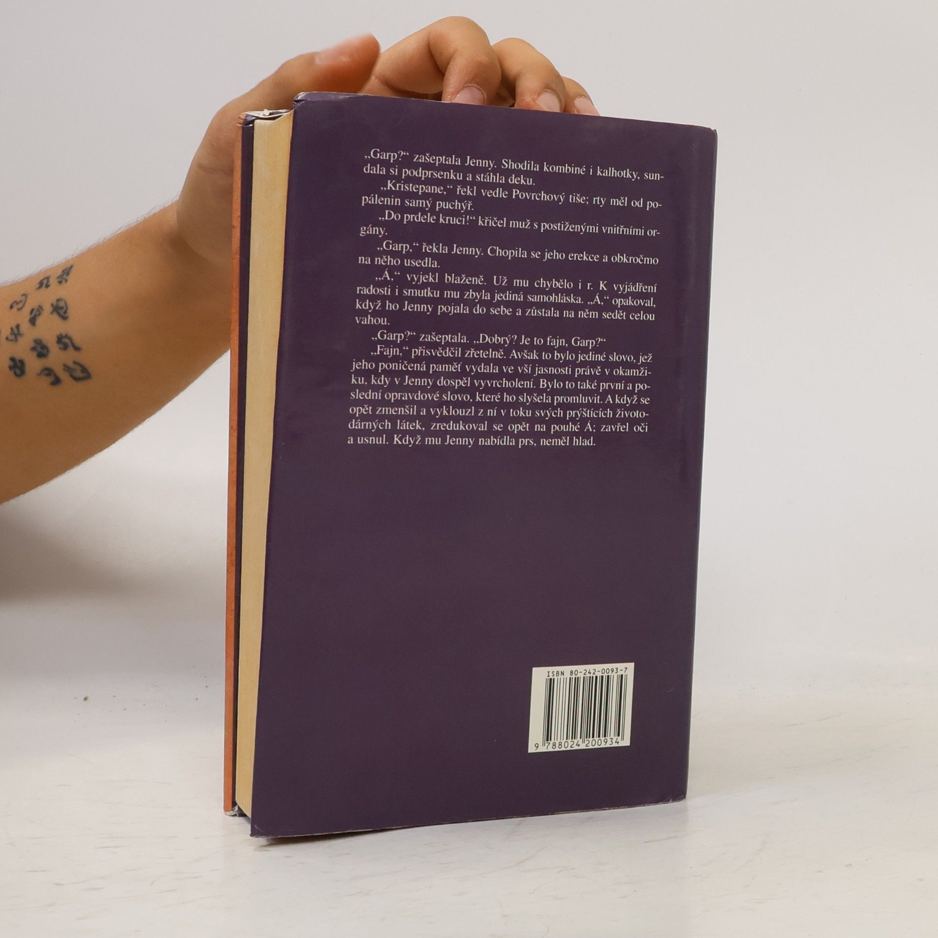 John Irving Svět podle Garpa