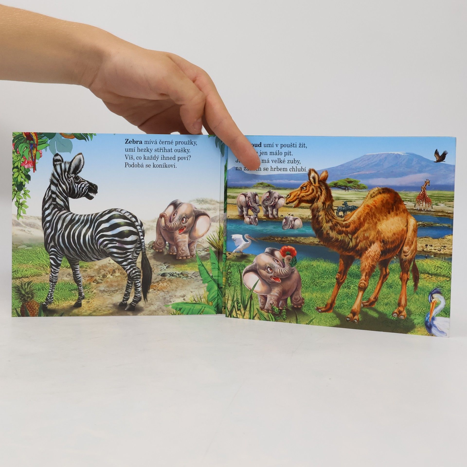 Kolektiv autorů Zvířátka v ZOO