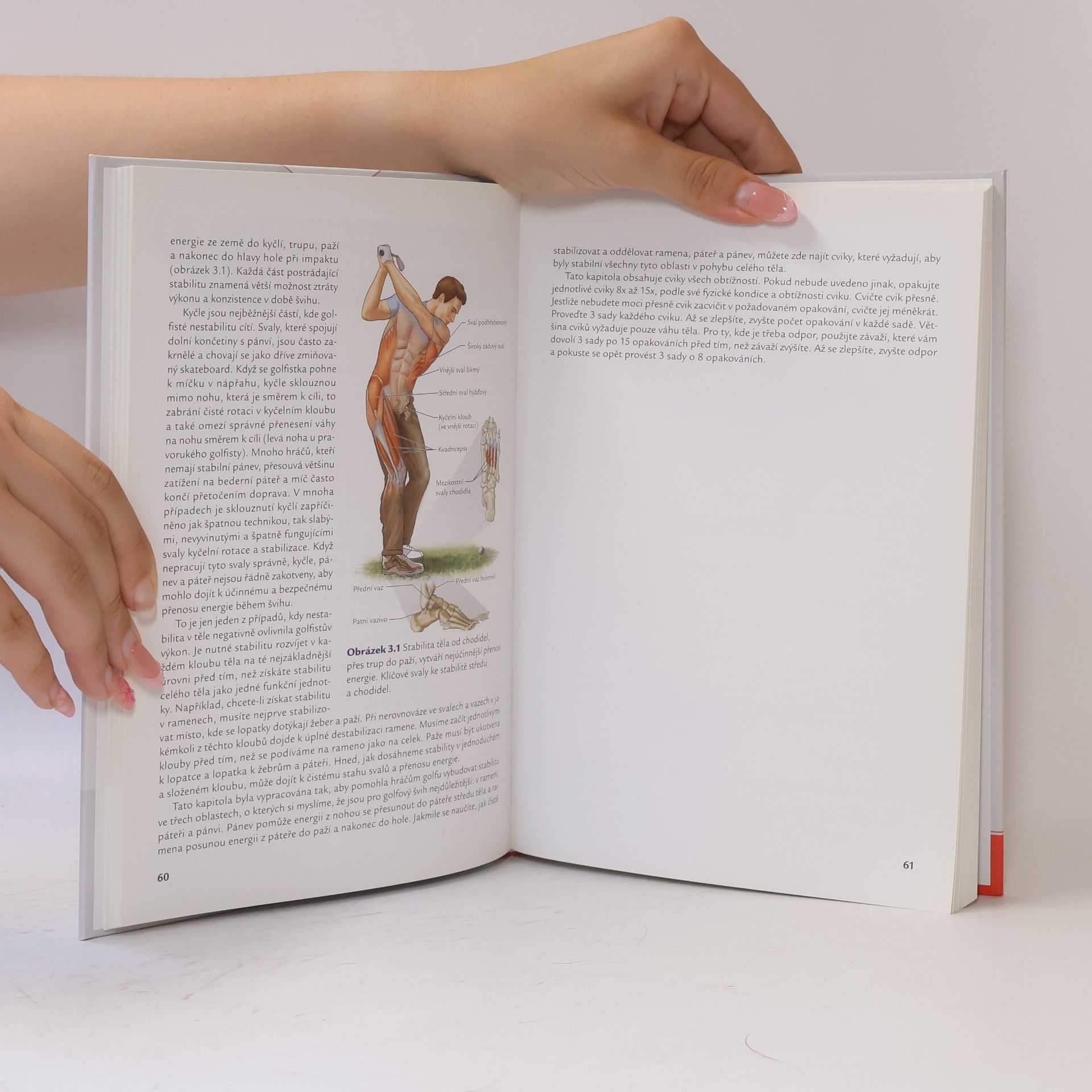 Craig Davies Golf - anatomie