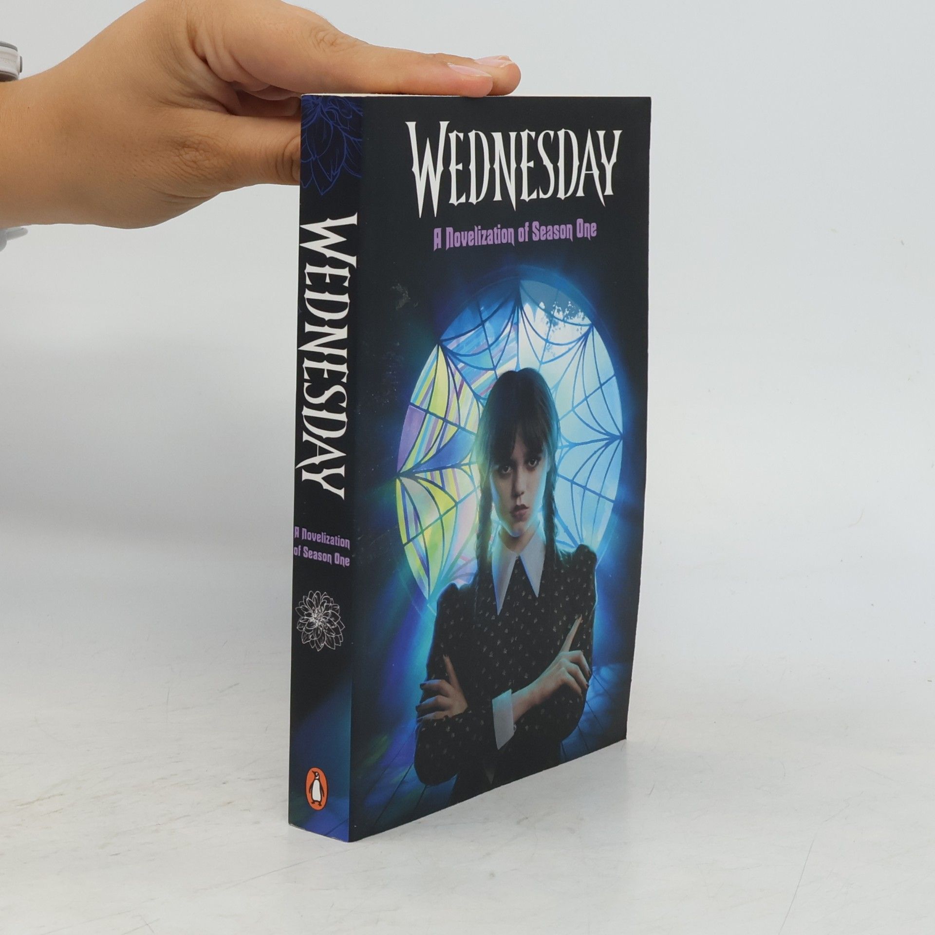 Autorenkollektiv Wednesday: A Novelisation of Season One
