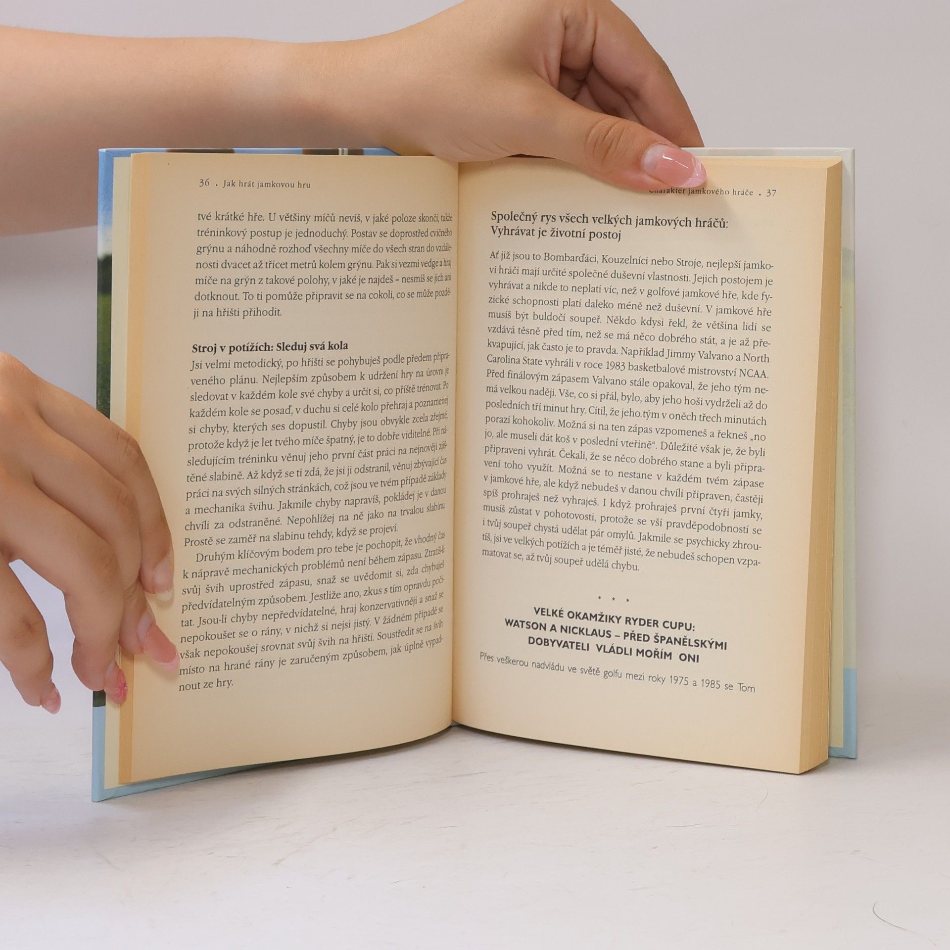 Autorenkollektiv Jak hrát jamkovou hru: Taktiky, tipy a návody jak vyhrát každou hru