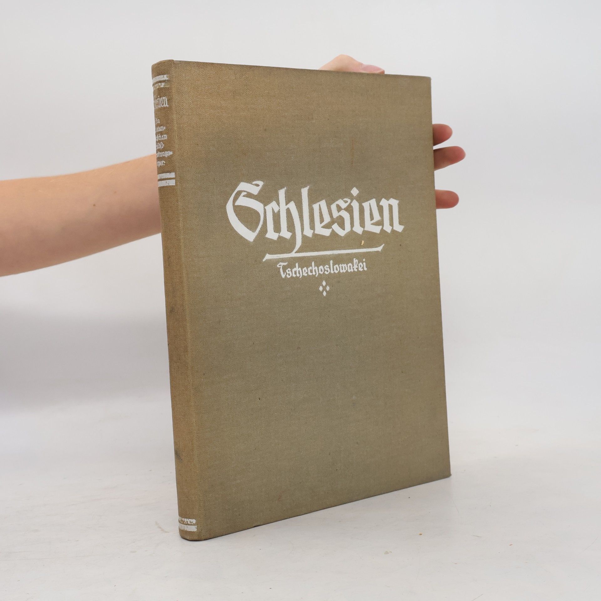 Autorenkollektiv Die sudetendeutschen Selbstverwaltungskörper