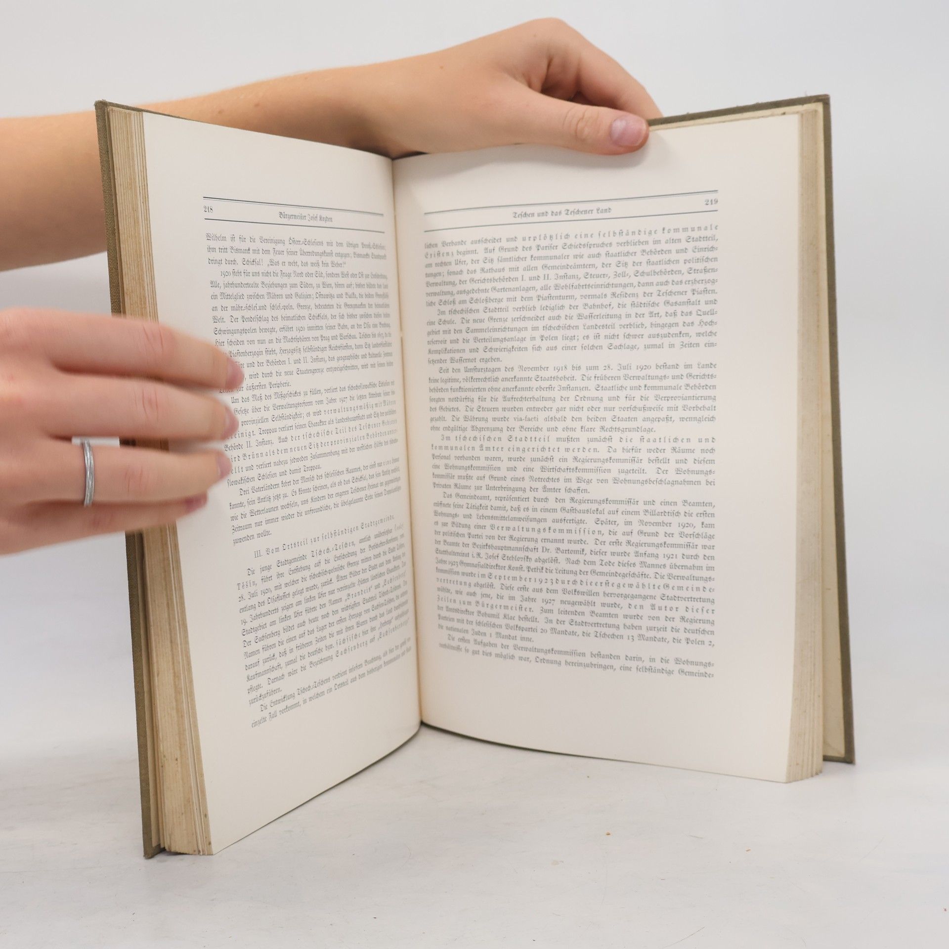 Autorenkollektiv Die sudetendeutschen Selbstverwaltungskörper