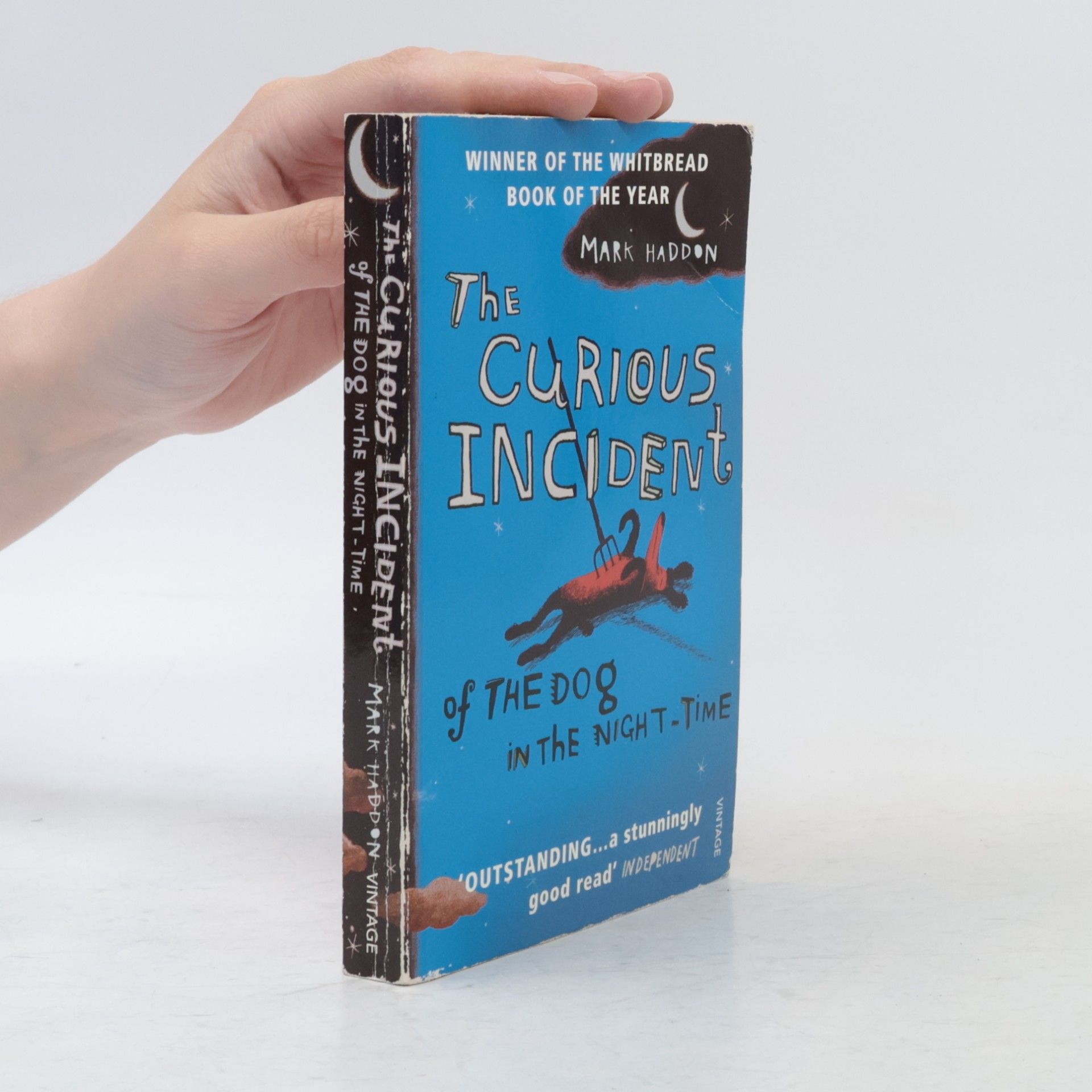 Mark Haddon The Curious Incident of The Dog in The Night-Time