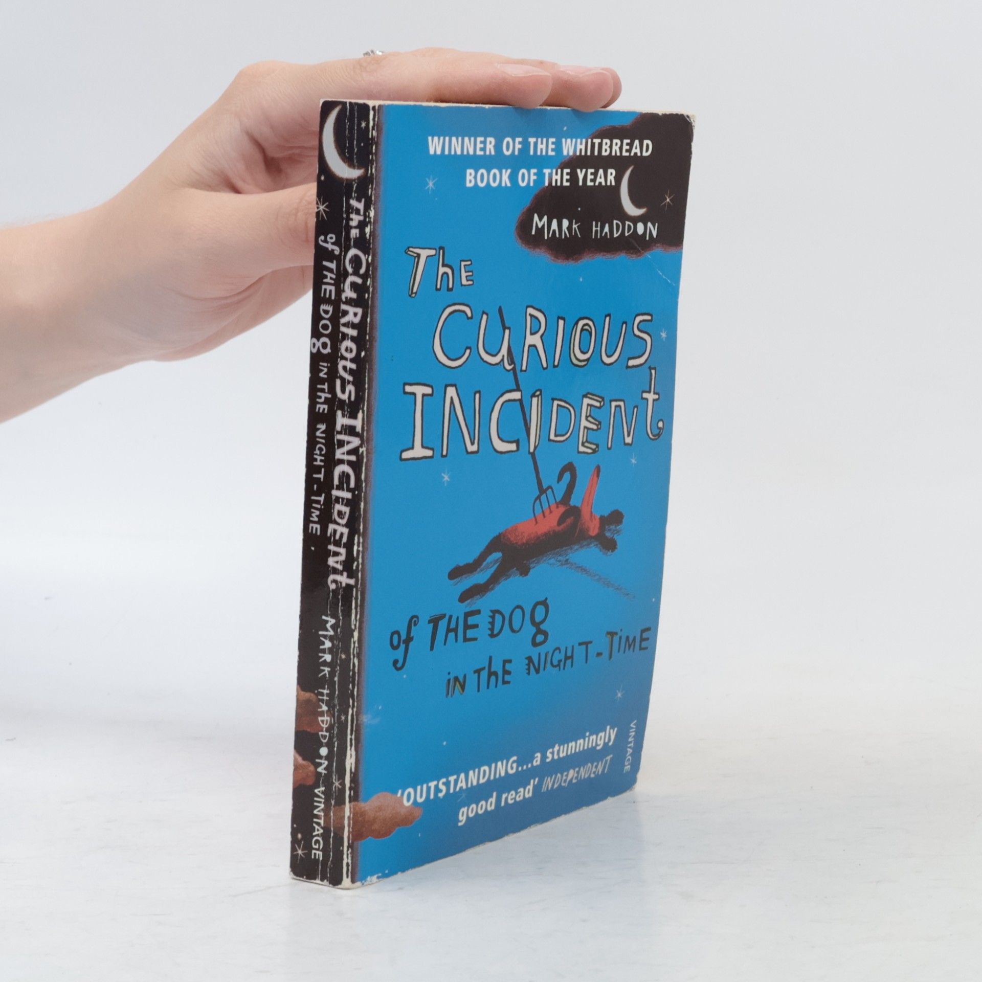 Mark Haddon The Curious Incident of The Dog in The Night-Time