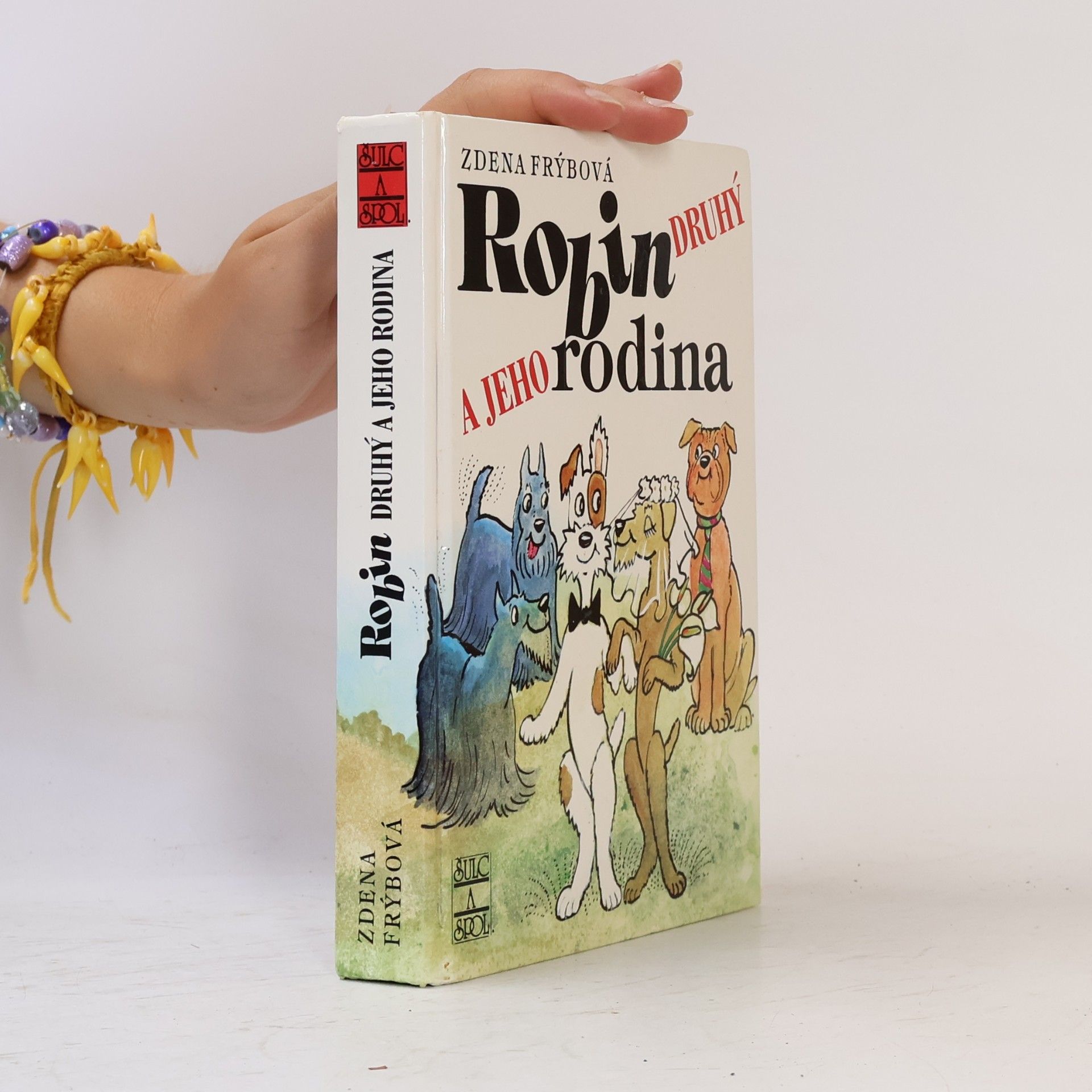 Zdena Frýbová Robin Druhý a jeho rodina