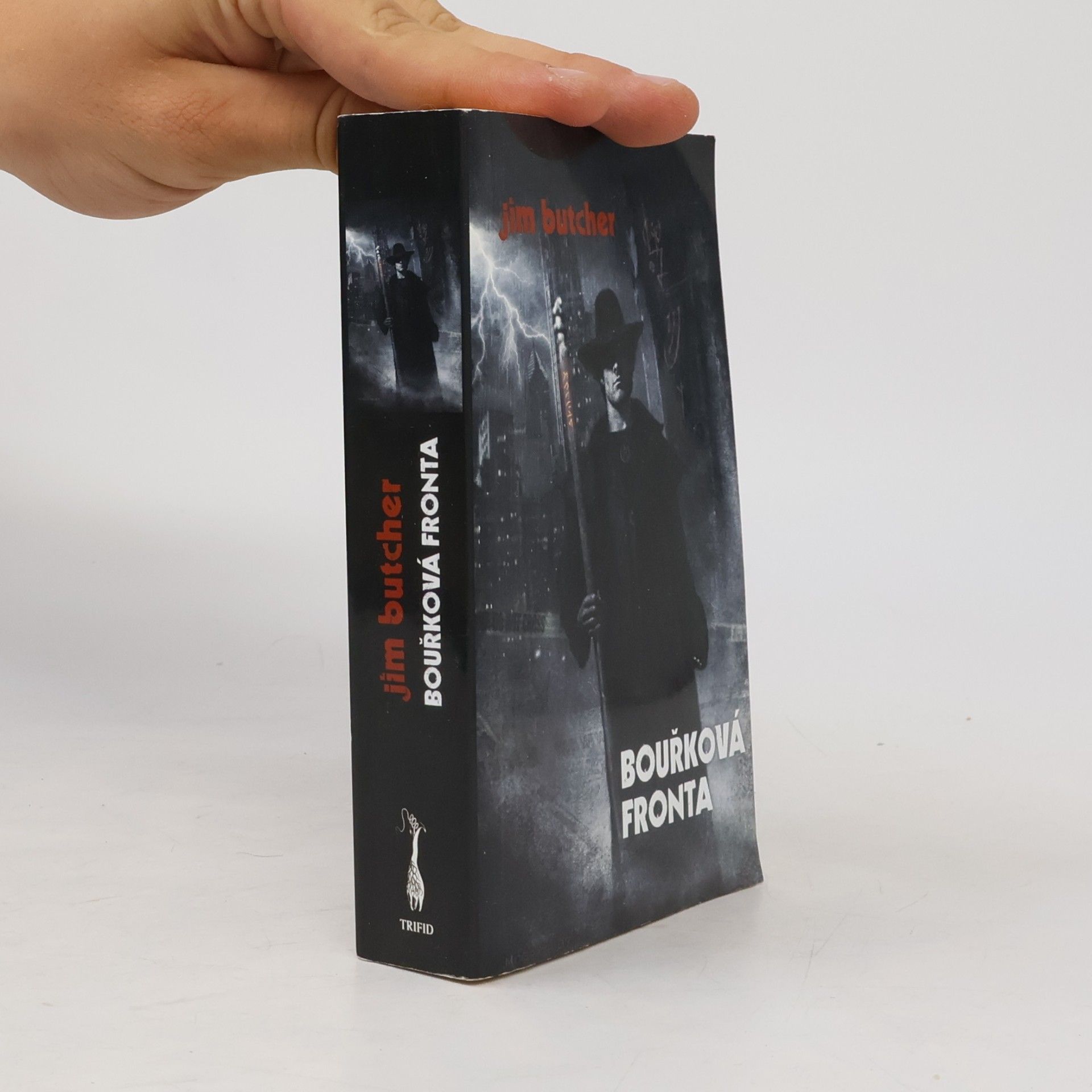 Jim Butcher Bouřková fronta