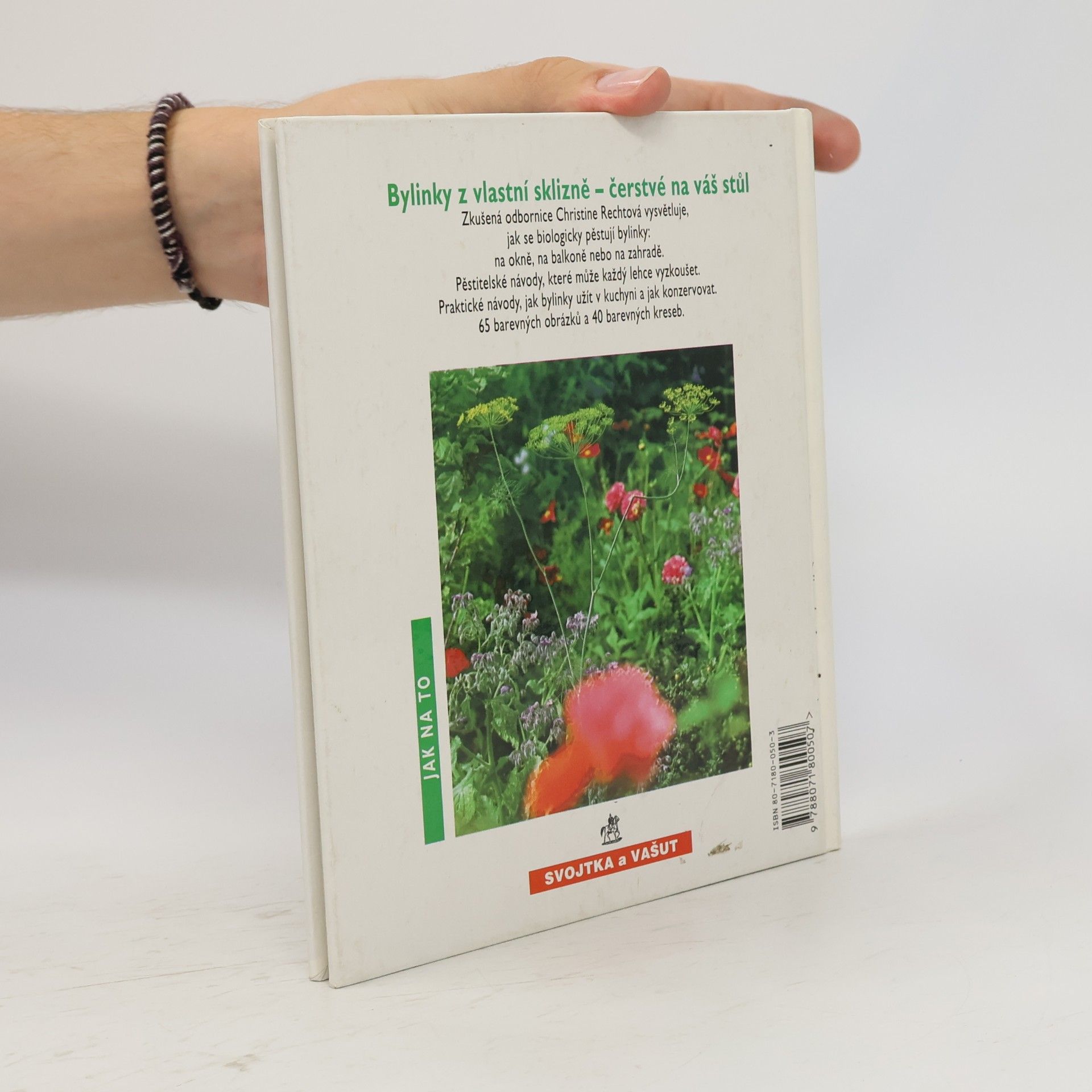 Christine Recht Kuchyňské bylinky pěstované biologicky na okně, na balkoně a na zahradě