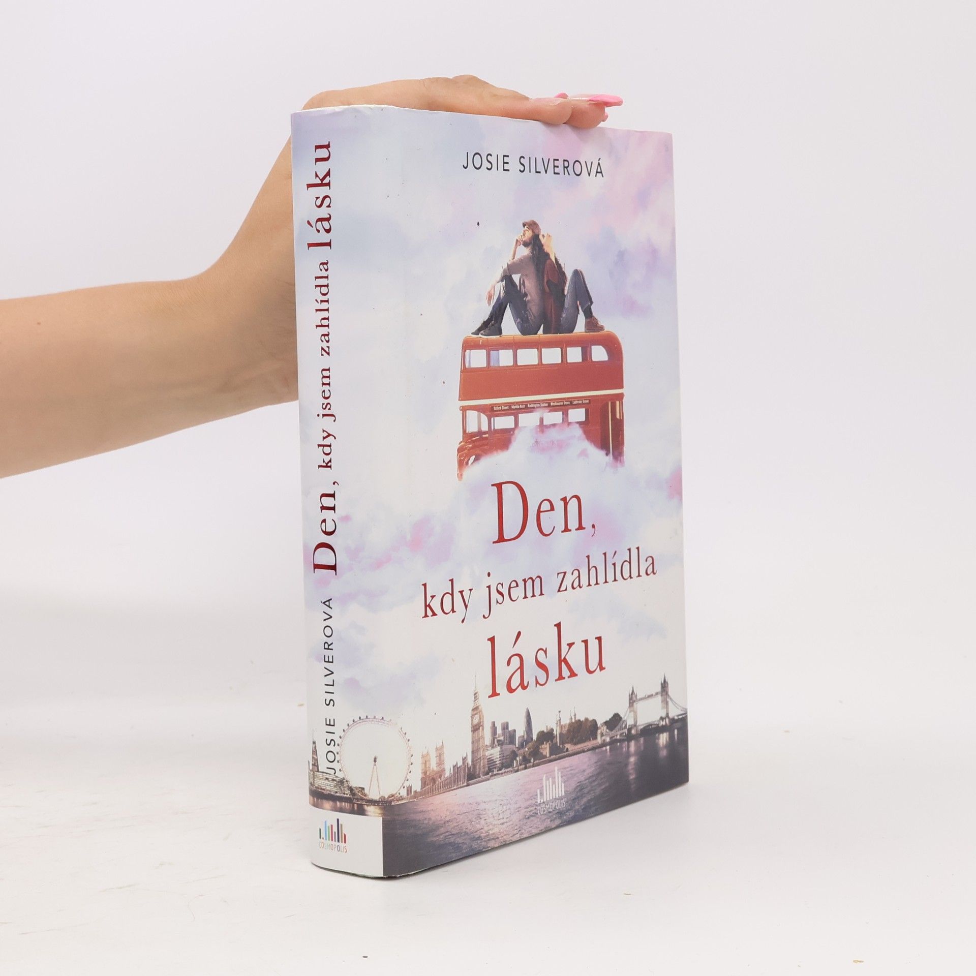 Josie Silver Den, kdy jsem zahlídla lásku