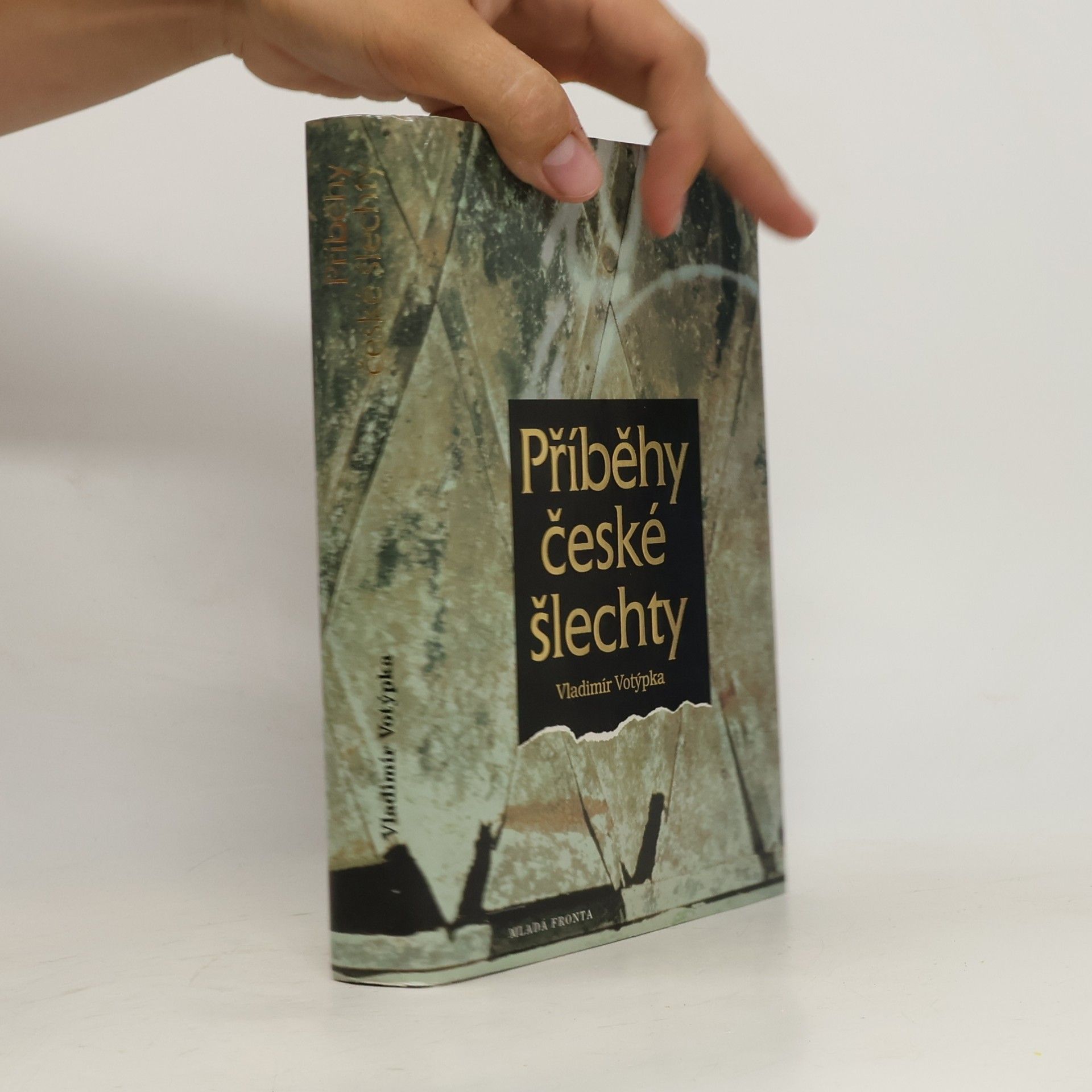 Vladimír Votýpka Příběhy české šlechty
