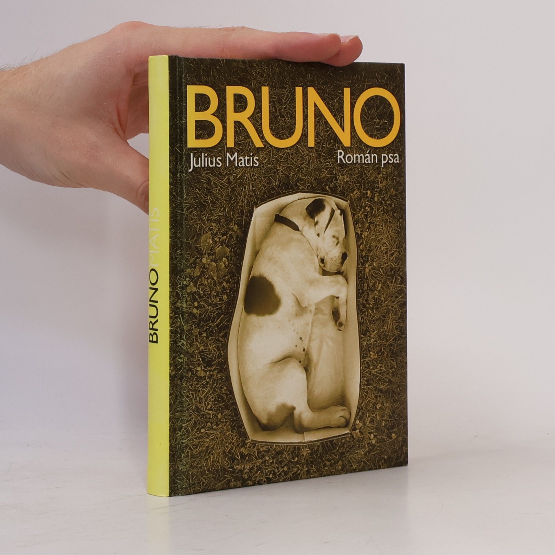 Julius Matis Bruno