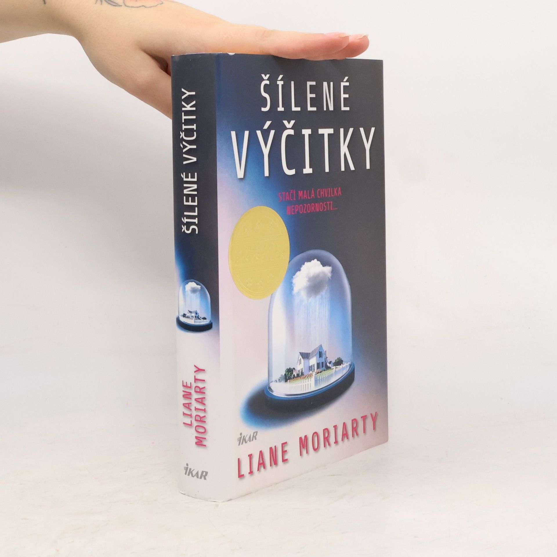 Liane Moriarty Šílené výčitky