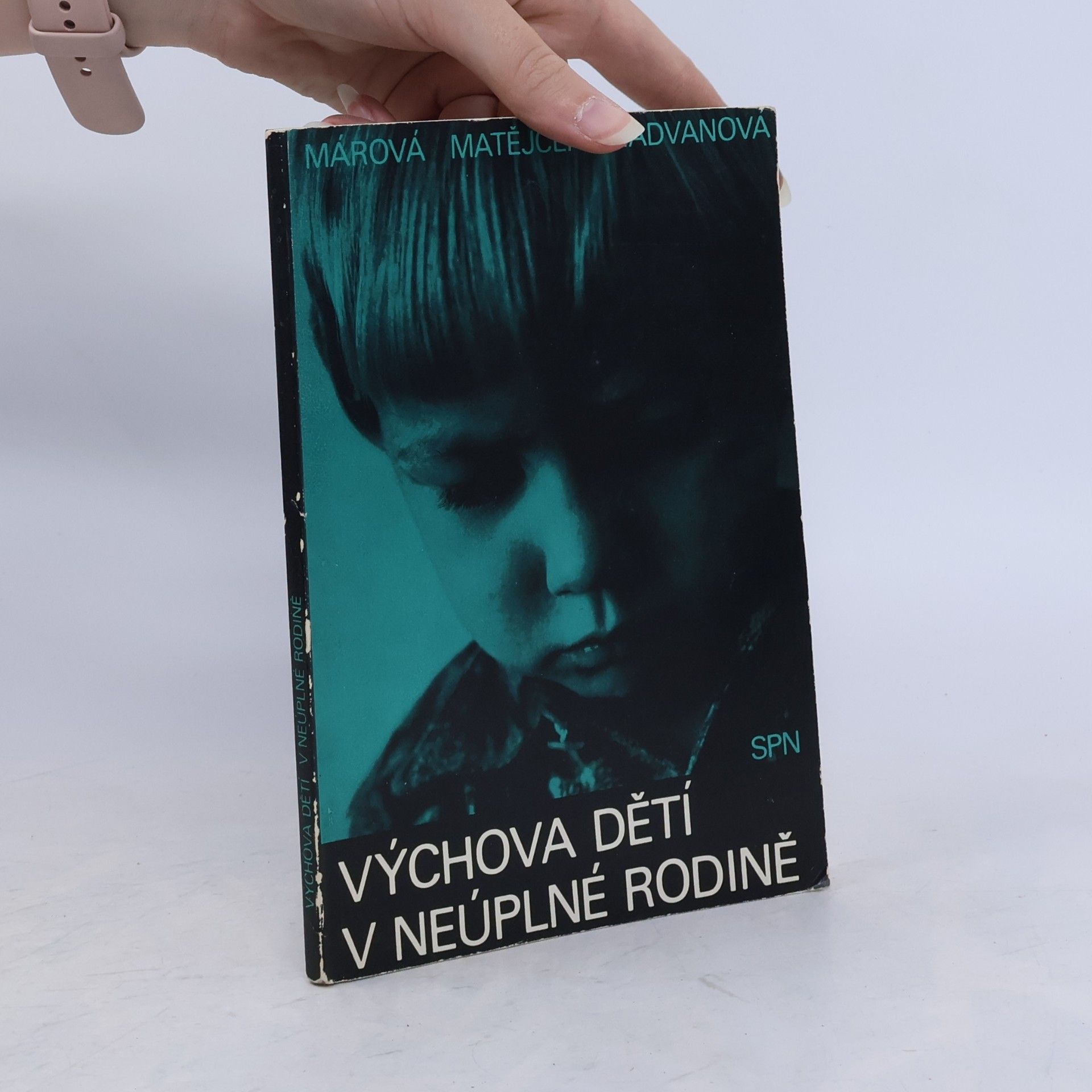Various authors Výchova dětí v neúplné rodině