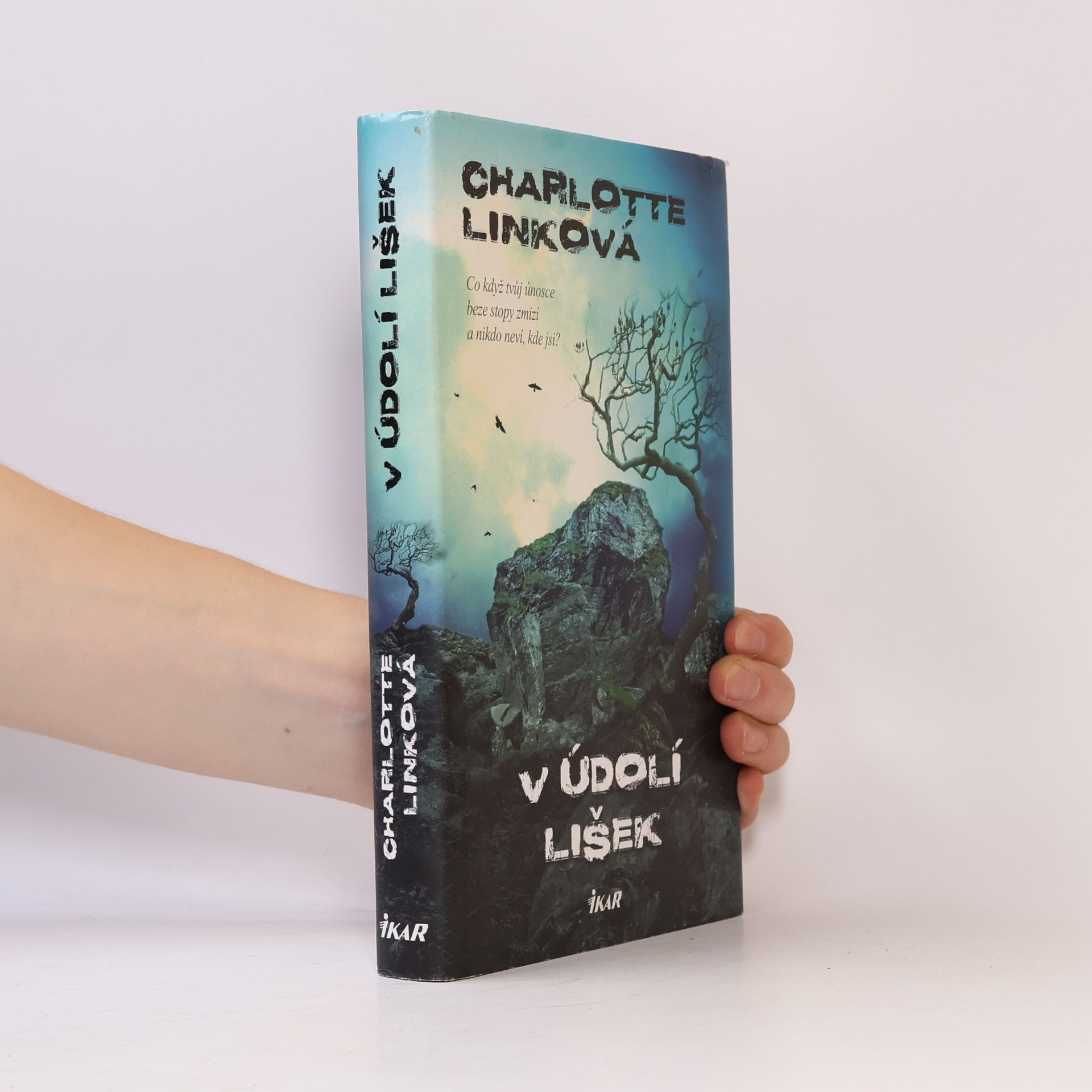 V údolí lišek