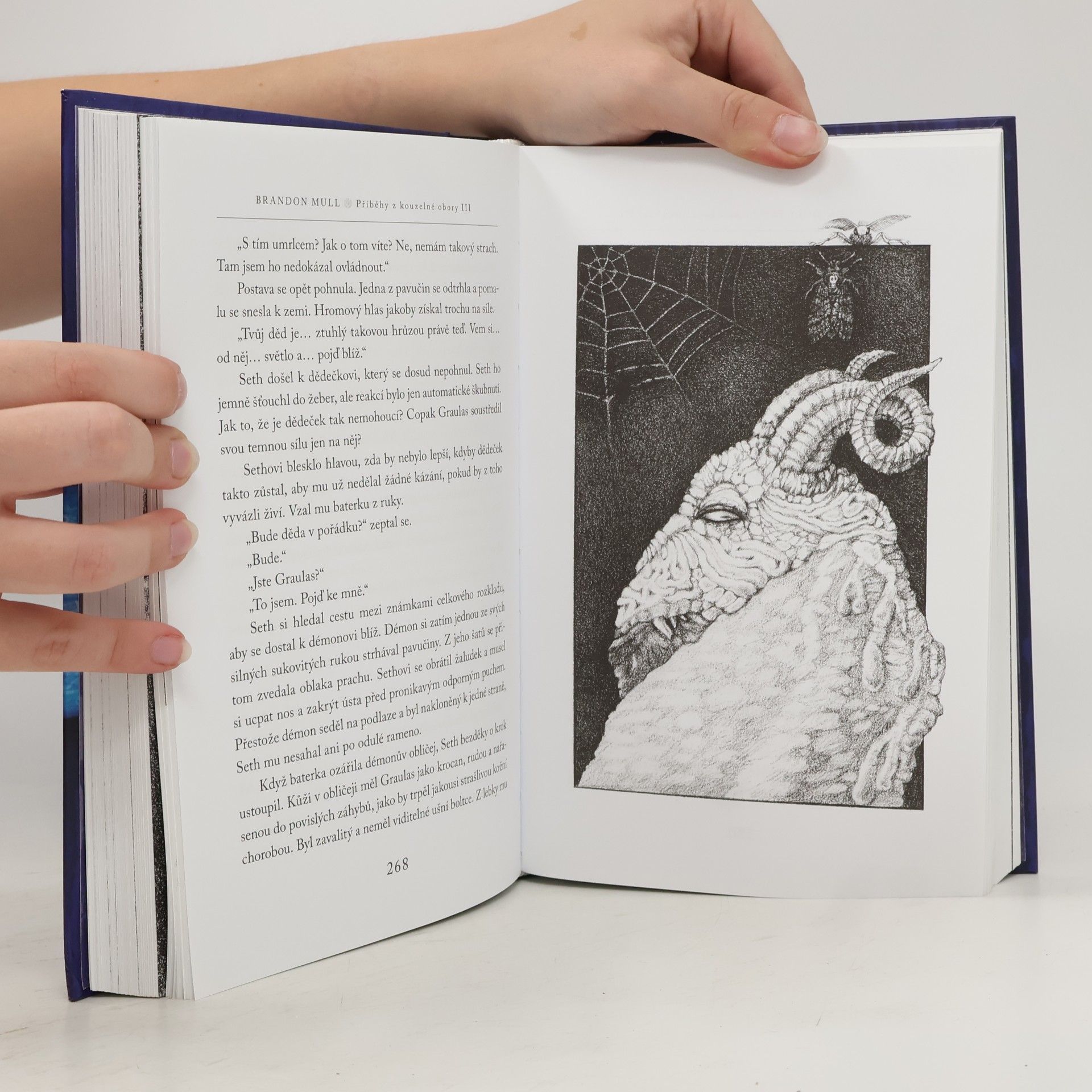 Brandon Mull Příběhy z kouzelné obory 3. Šedá smrt