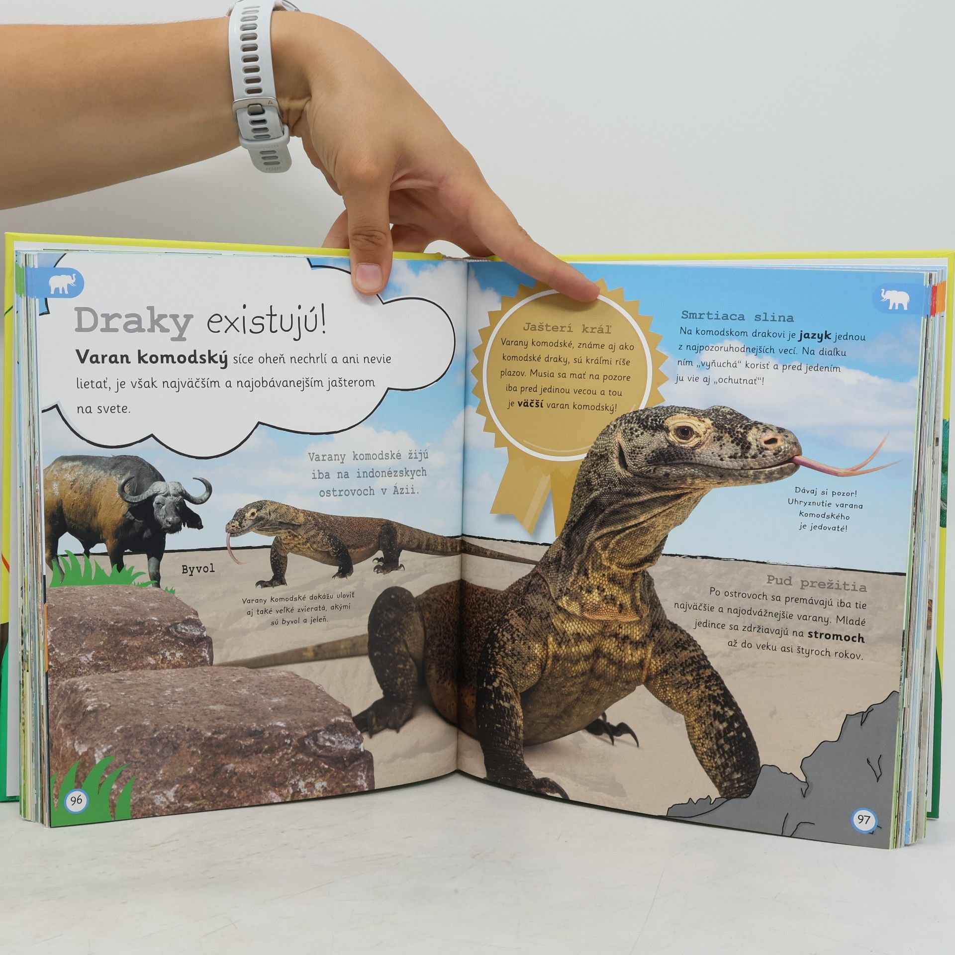 Various authors Najdôležitejšie zvieratá na svete - detská encyklopédia
