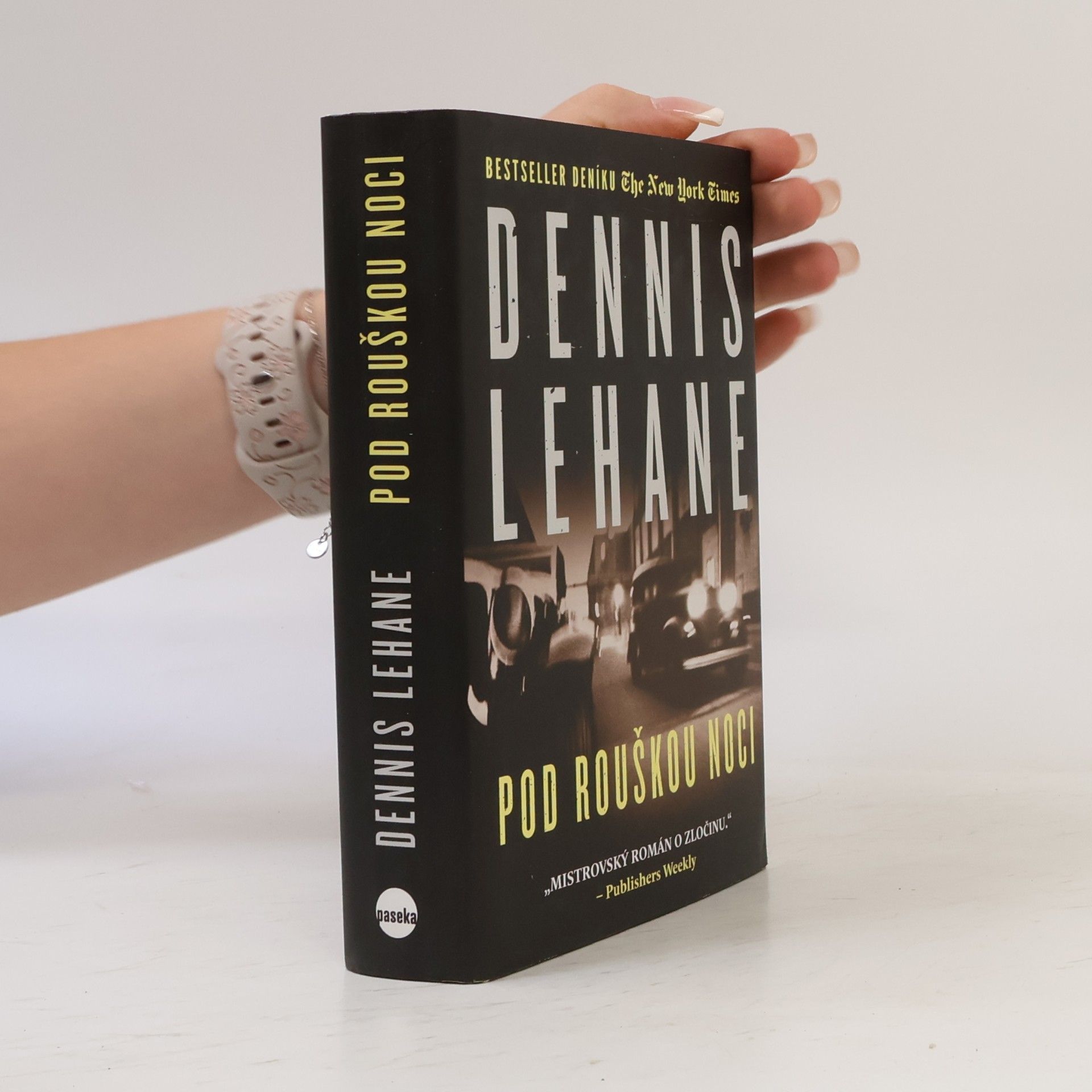 Dennis Lehane Pod rouškou noci