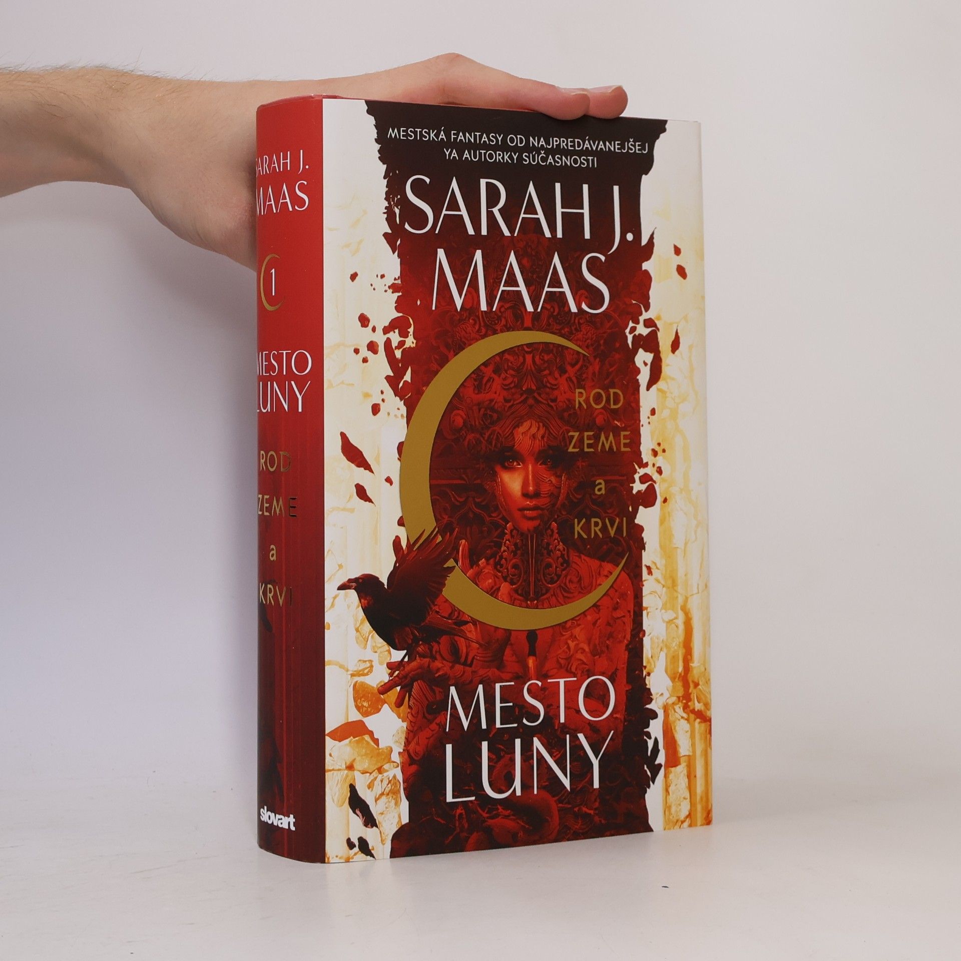 Sarah J. Maas Rod zeme a krvi