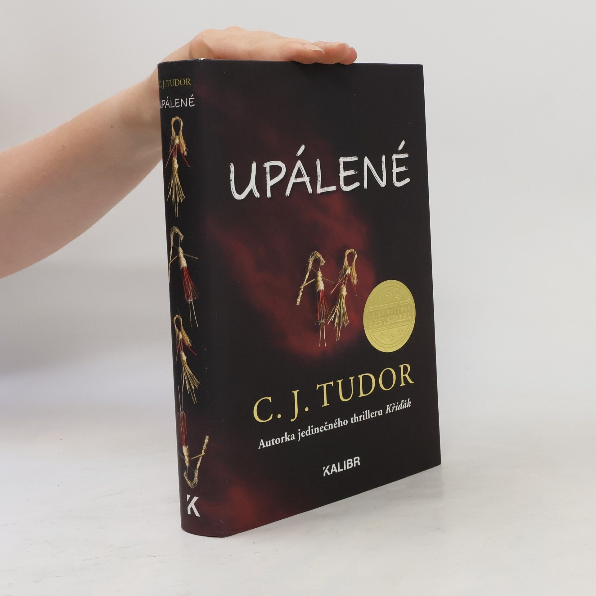 C. J. Tudor Upálené