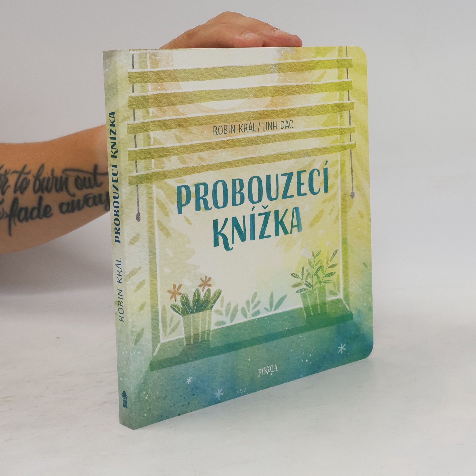 Robin Král Probouzecí knížka