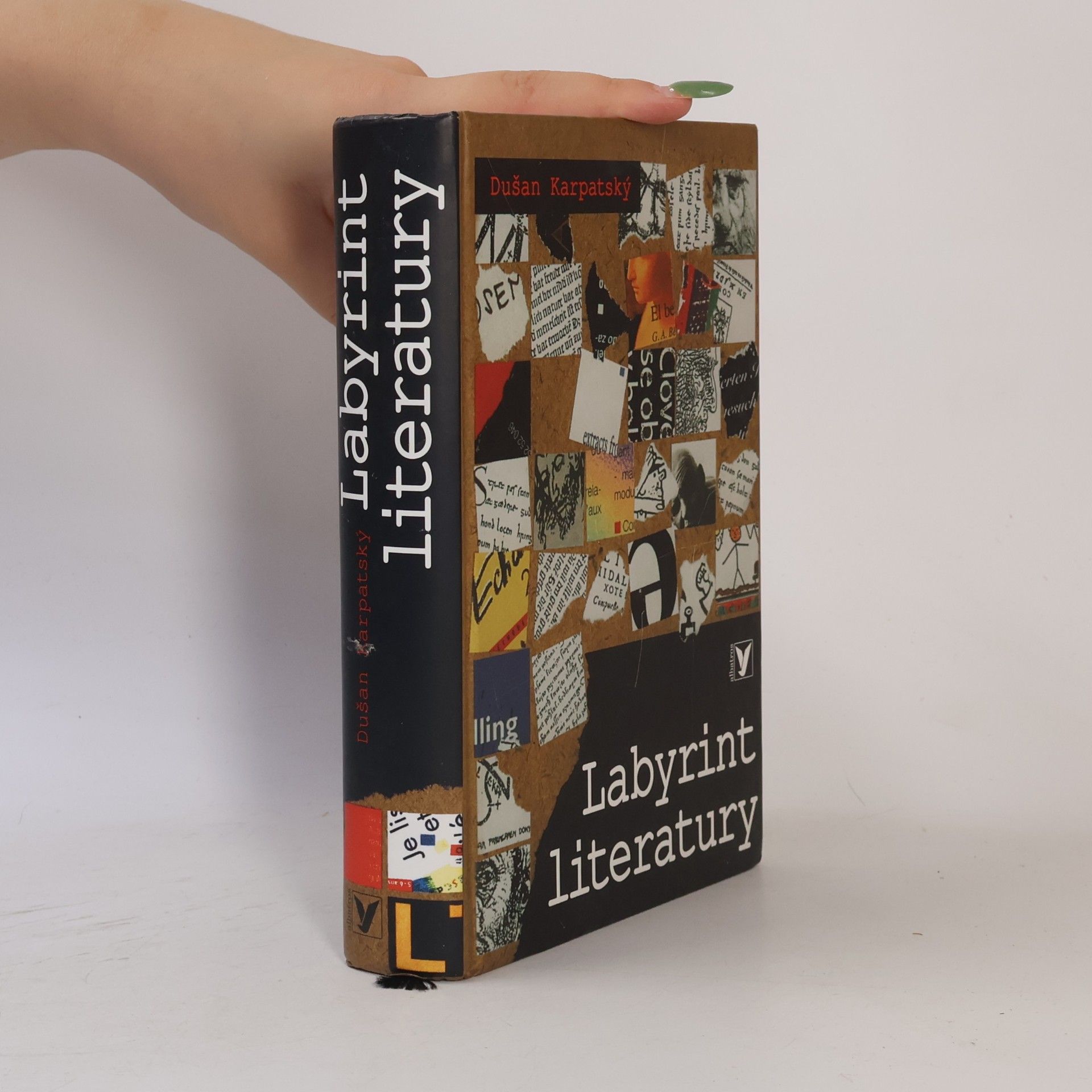 Dušan Karpatský Labyrint literatury