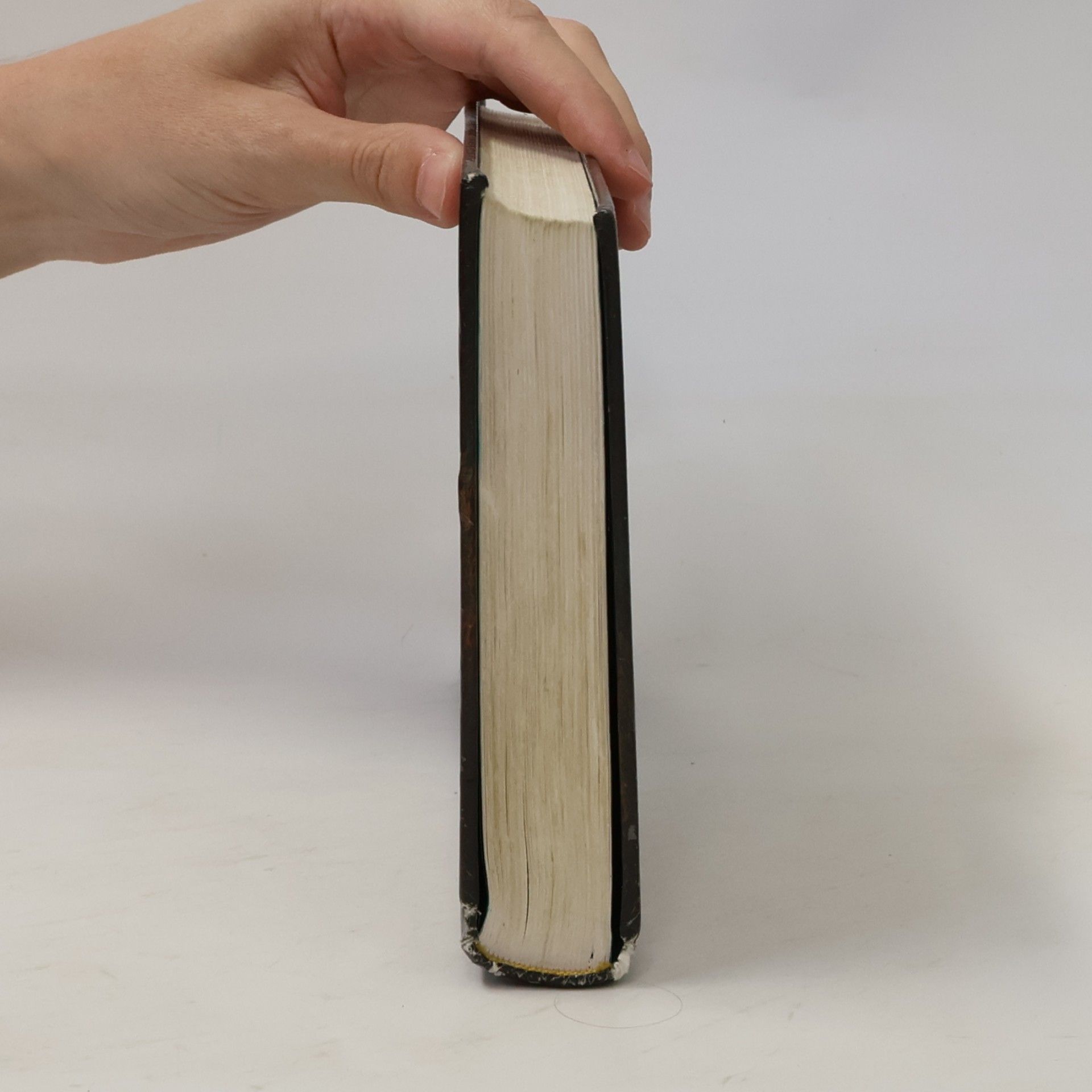 Cassandra Clare Nástroje smrti 2: Město z popela