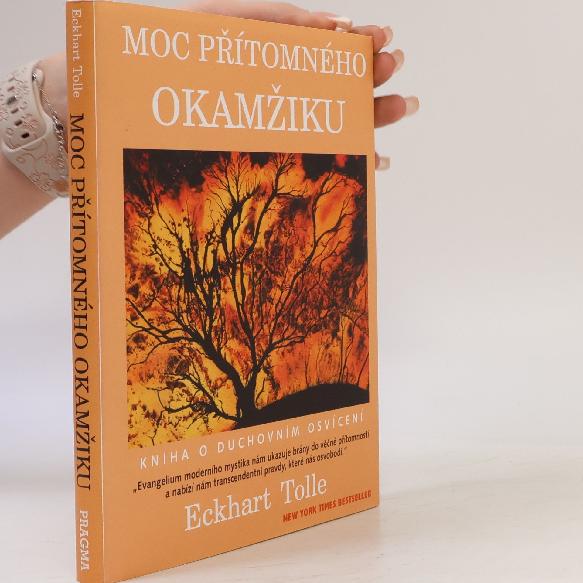 Eckhart Tolle Moc přítomného okamžiku