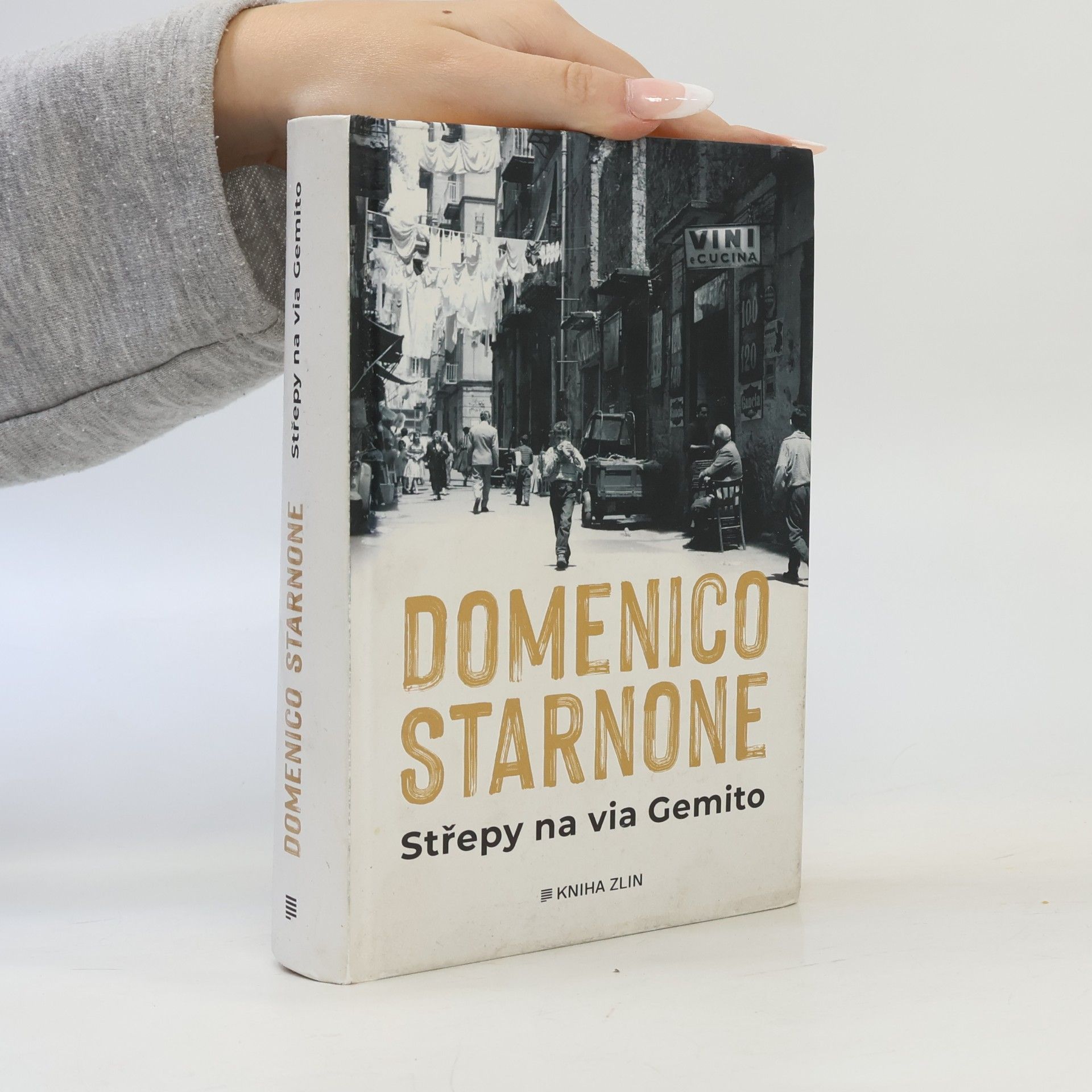 Domenico Starnone Střepy na via Gemito