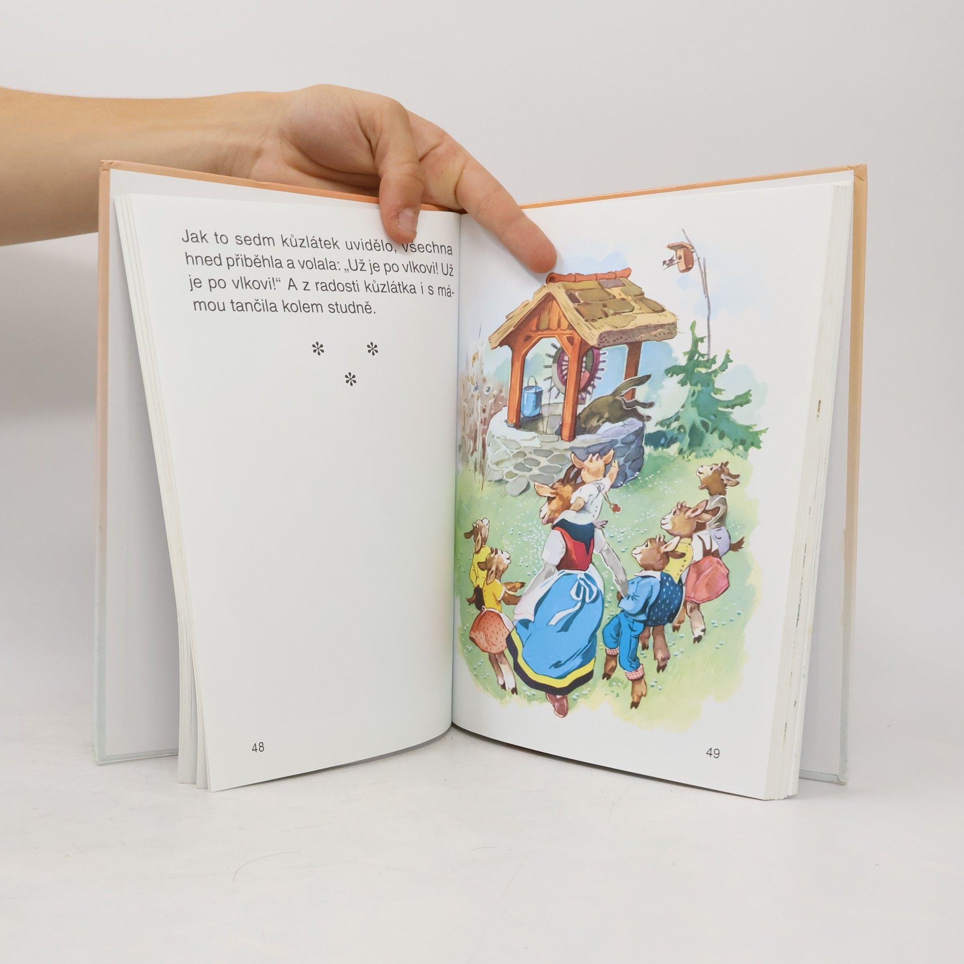 Jacob Grimm Nejkrásnější pohádky bratří Grimmů