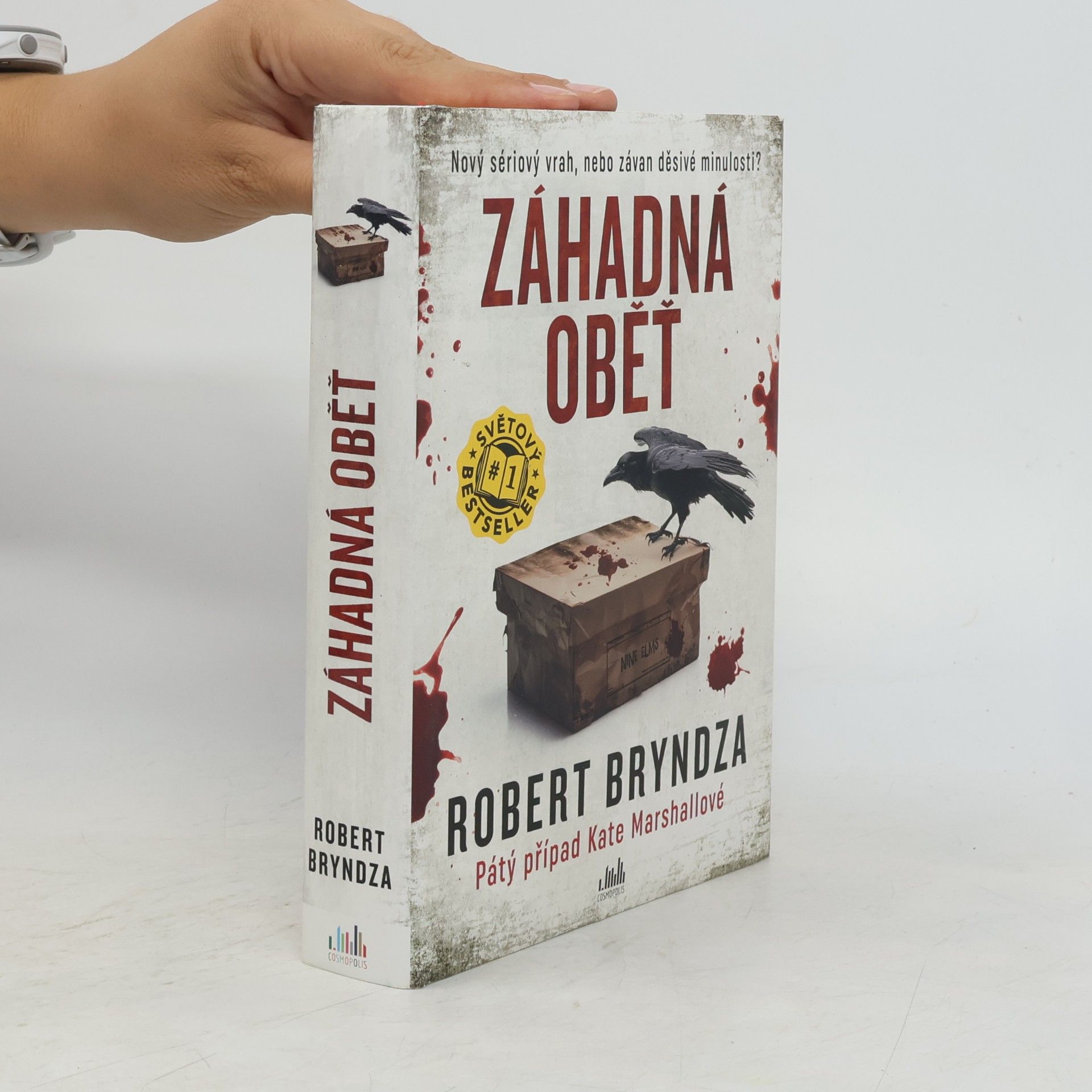 Robert Bryndza Záhadná oběť
