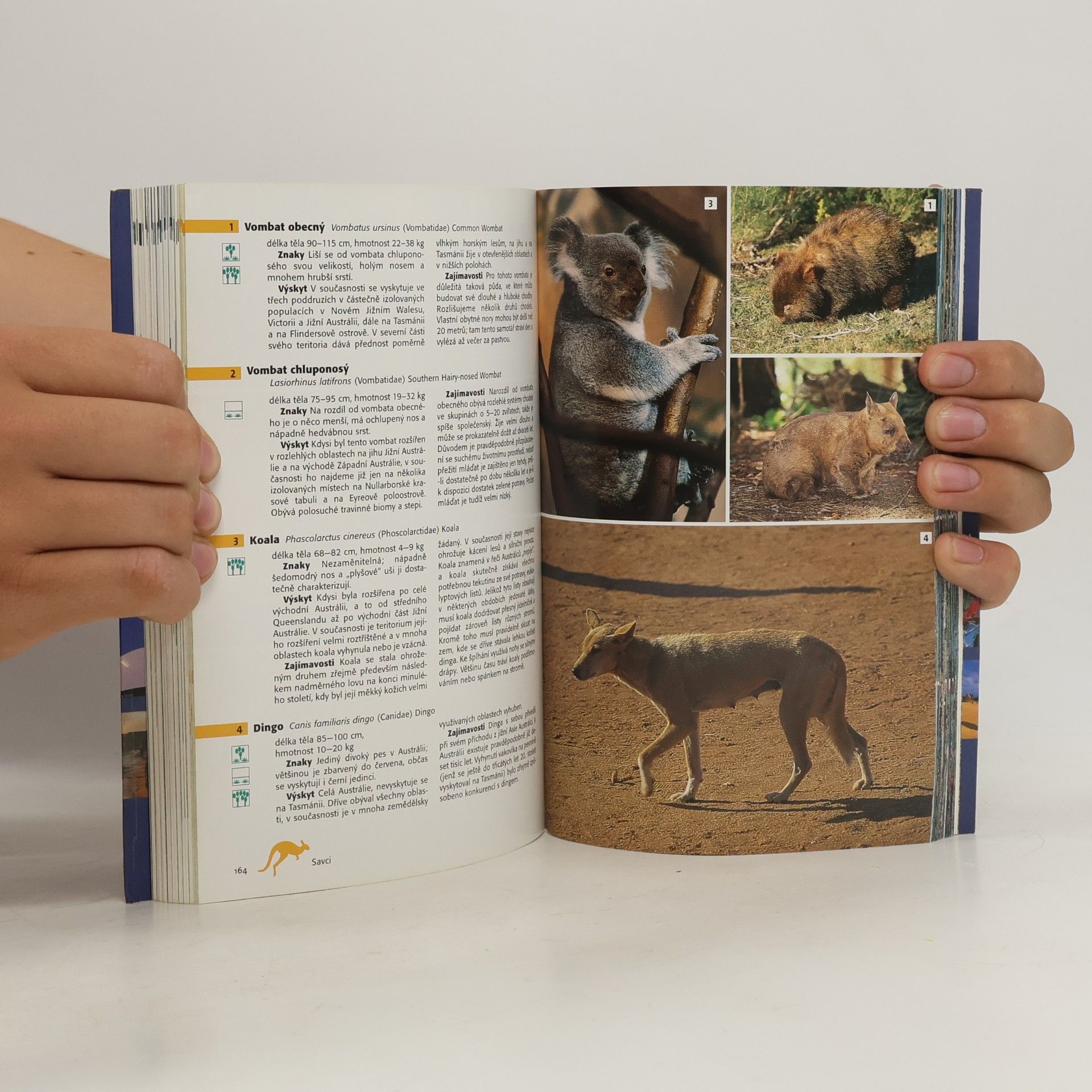 Donatus Fuchs Austrálie : cestování a kultura : poznávání zvířat a rostlin