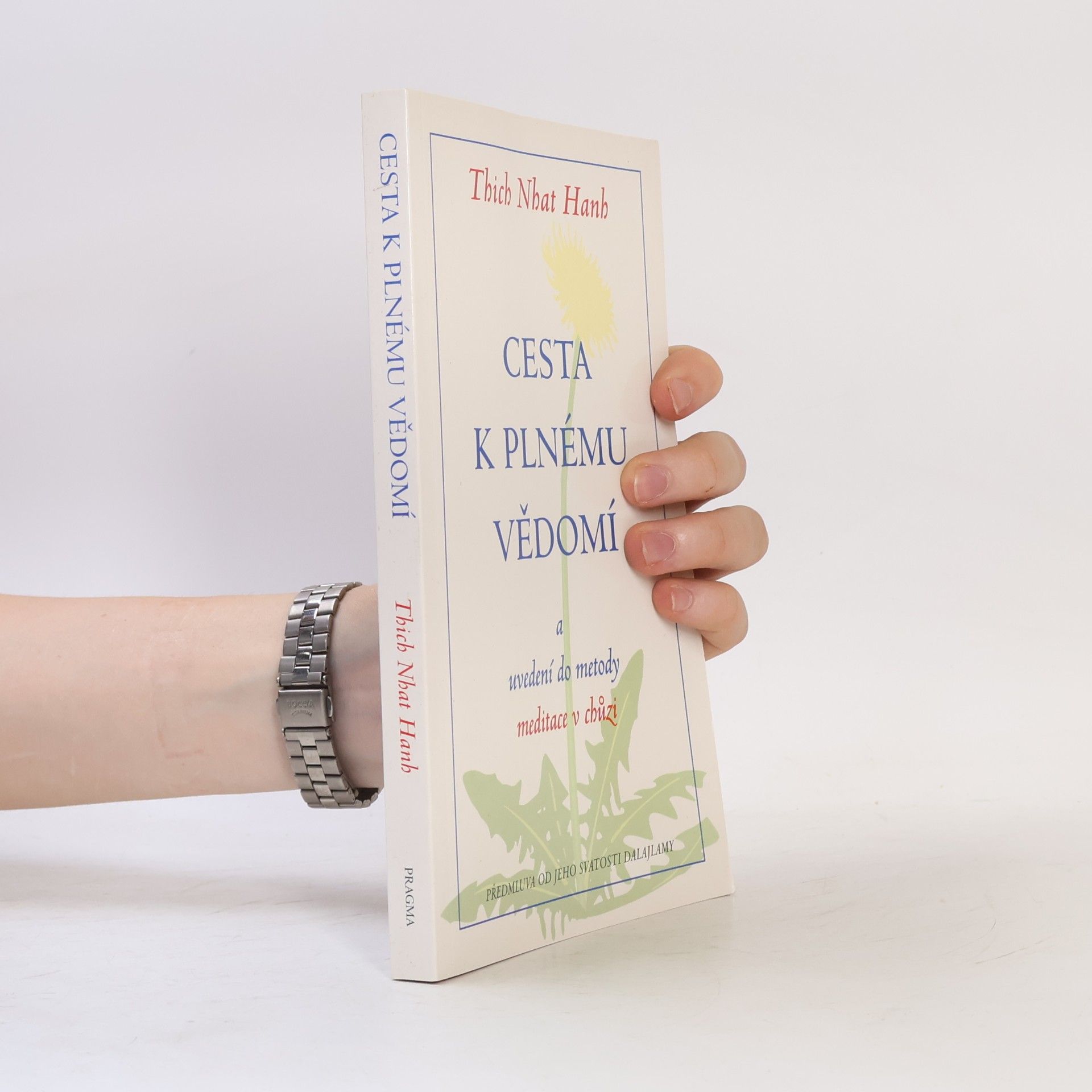 Cesta k plnému vědomí a uvedení do metody meditace v chůzi