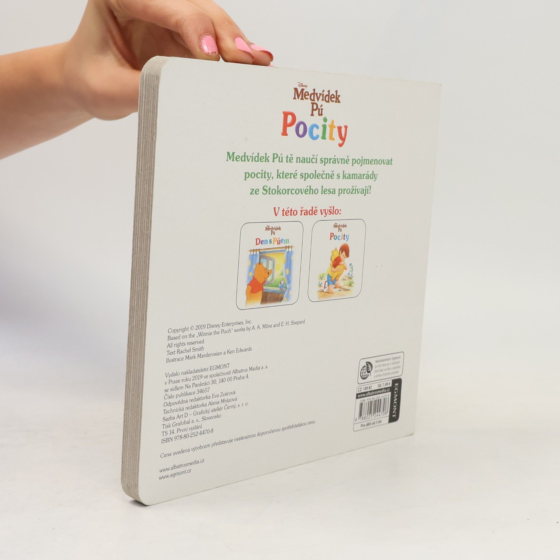 Kolektiv autorů Medvídek Pú - Pocity