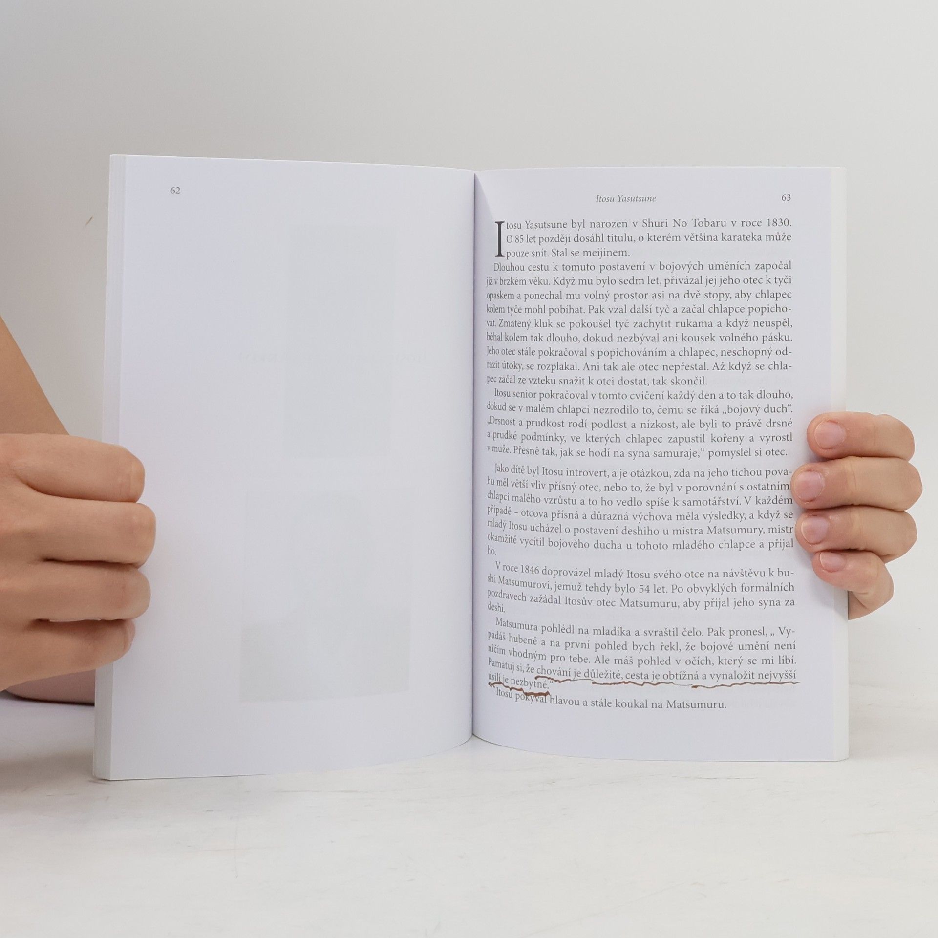Autores varios Mistři karate : příběhy a osudy