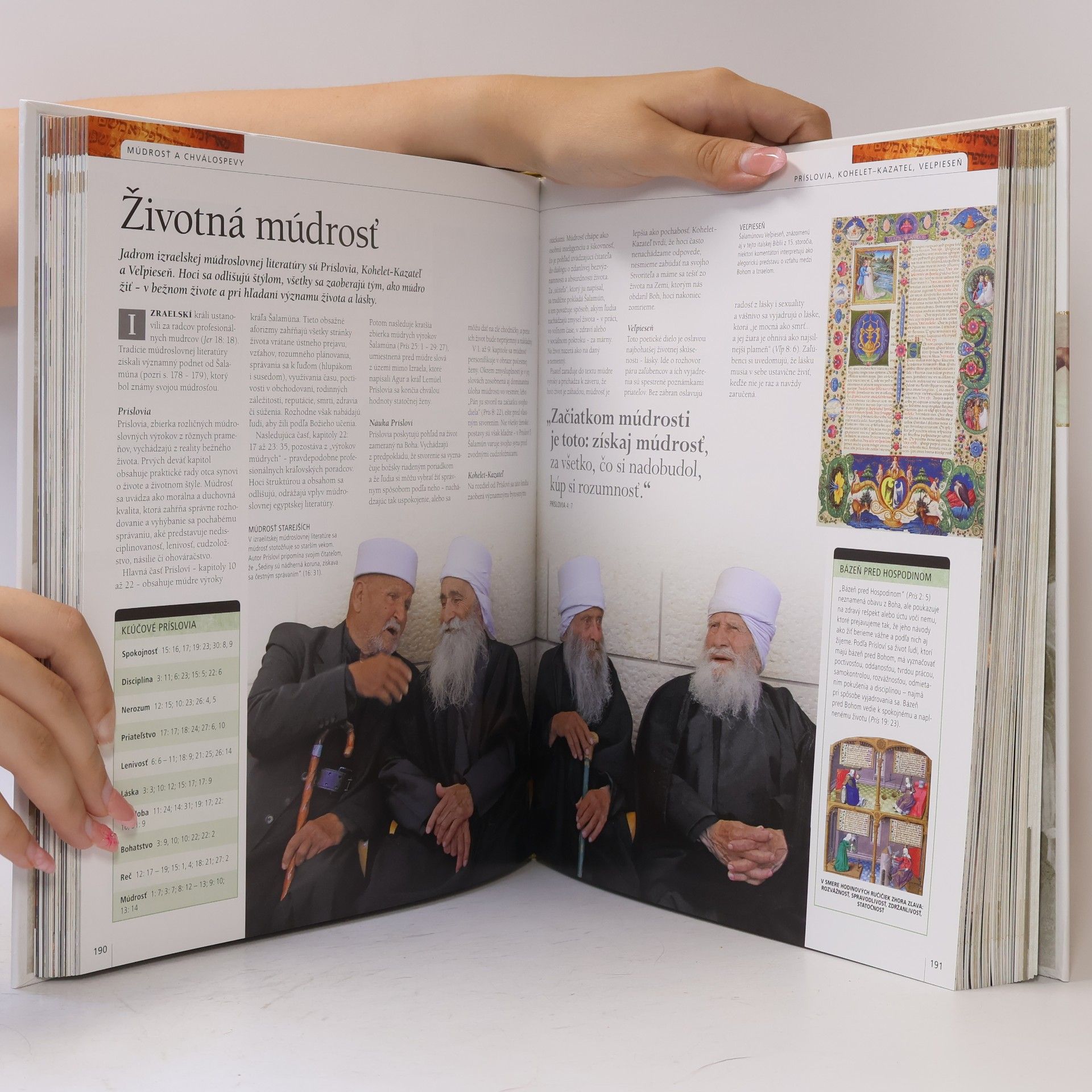 Kolektív autorov Ilustrovaný výklad Biblie