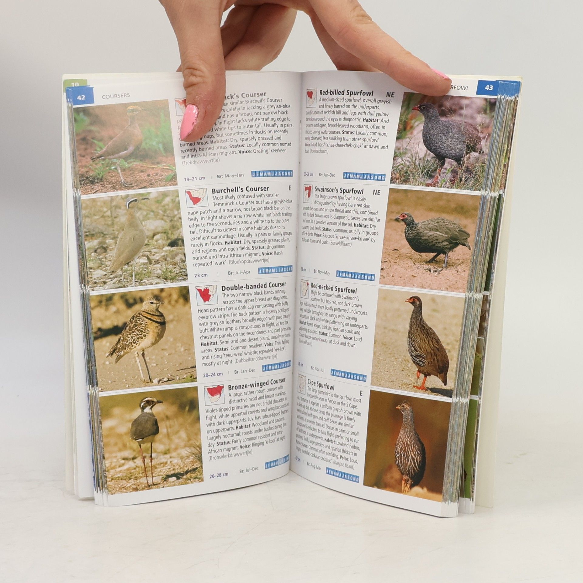Ian Sinclair Pocket Guide: Birds of Southern Africa