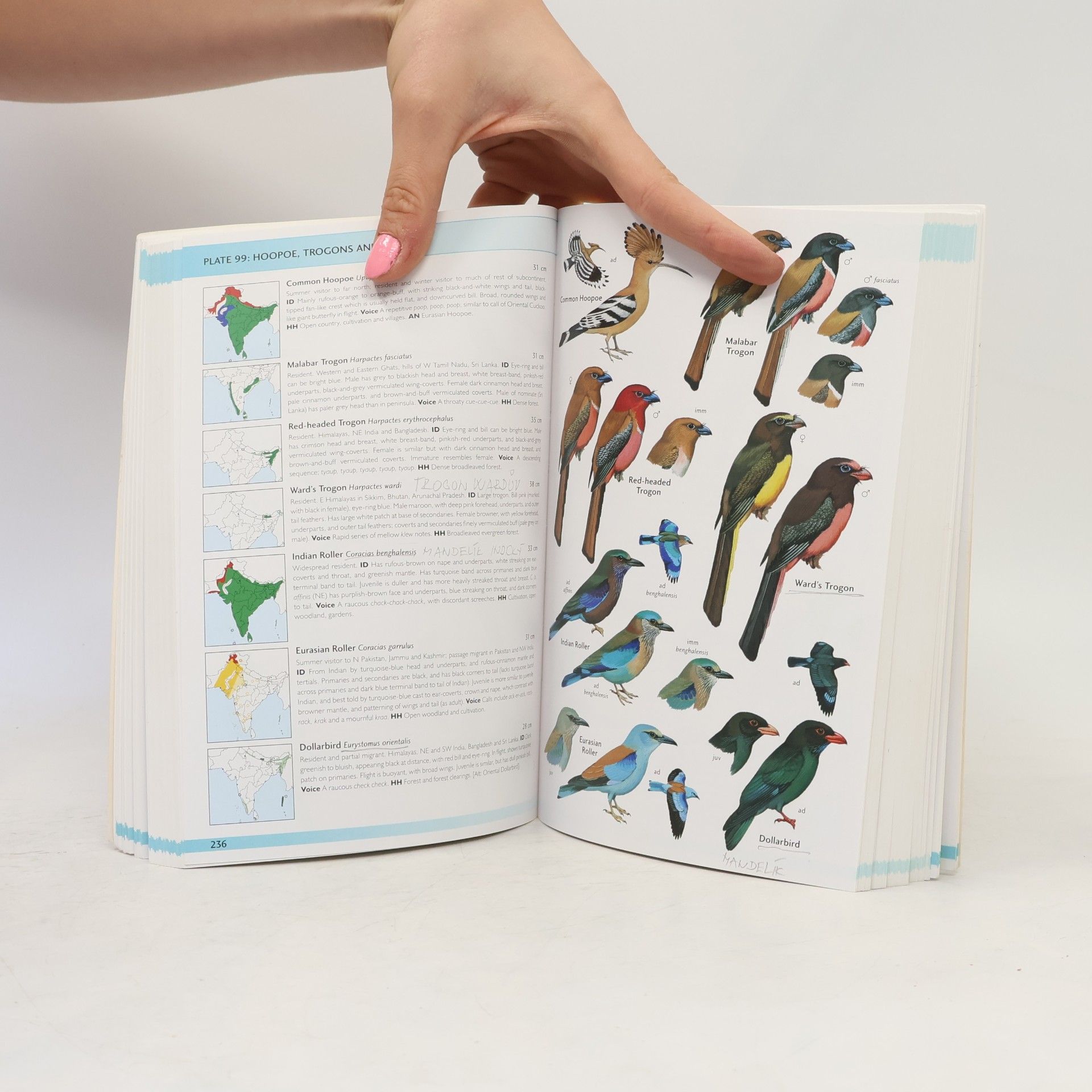 Richard Grimmett Helm Field Guides: Field Guide to Birds of the Indian Subcontinent