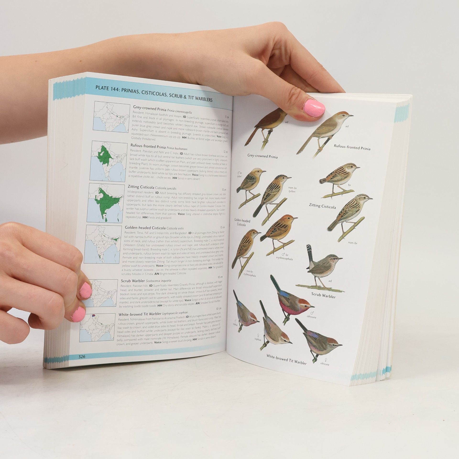 Richard Grimmett Helm Field Guides: Field Guide to Birds of the Indian Subcontinent