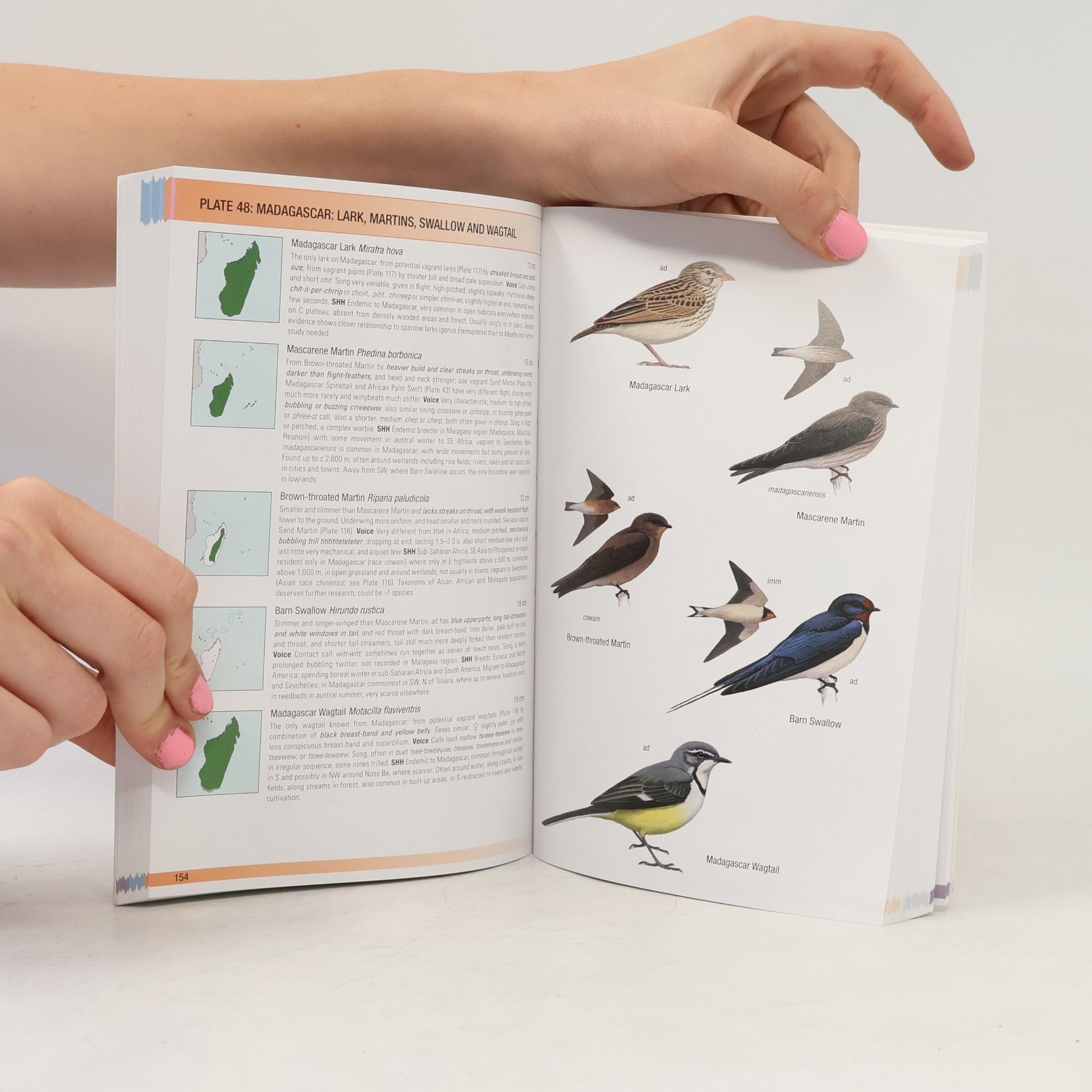 Frank N. Hawkins Jr. Helm Field Guides: Birds of Madagascar and the Indian Ocean Islands
