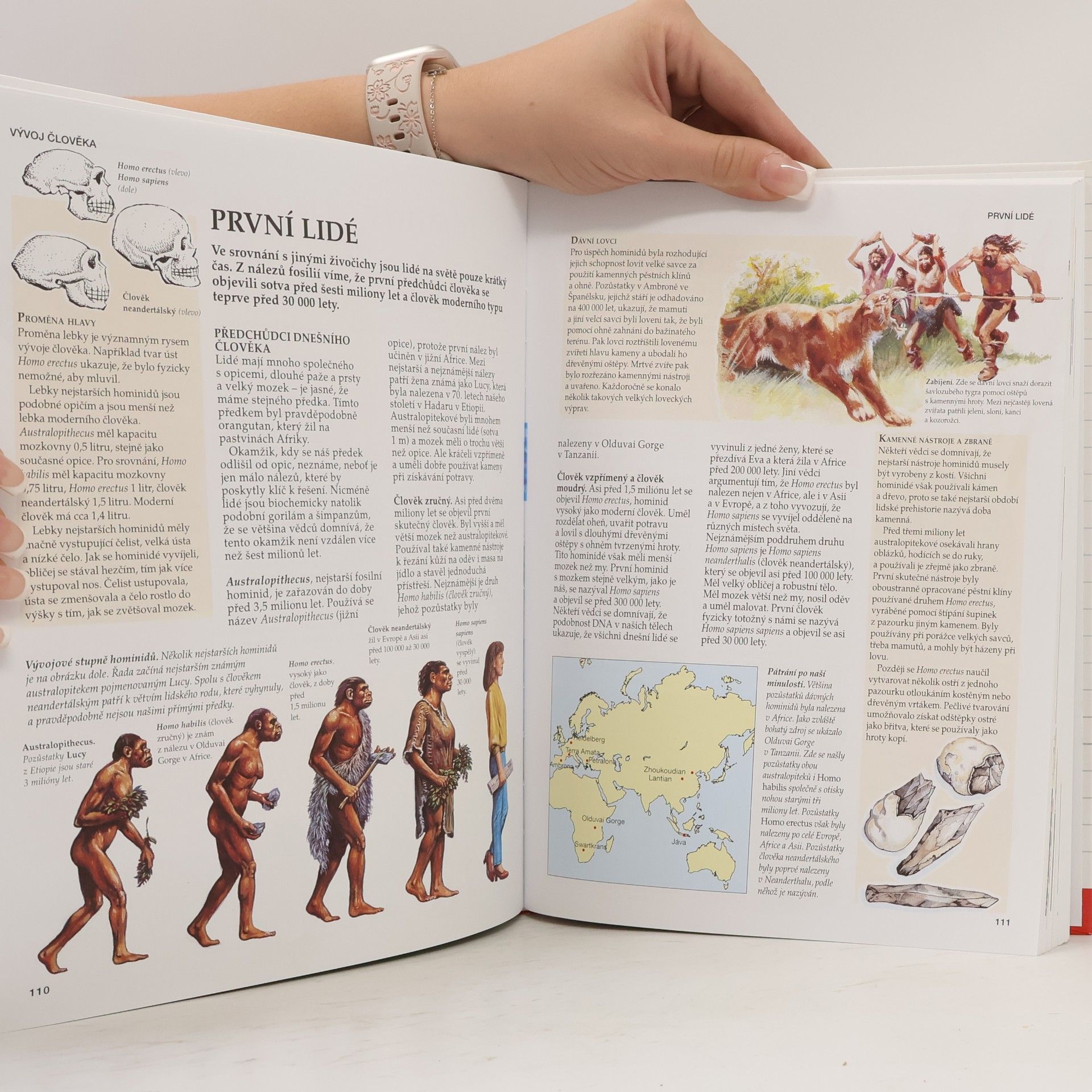Autorenkollektiv Školní encyklopedie