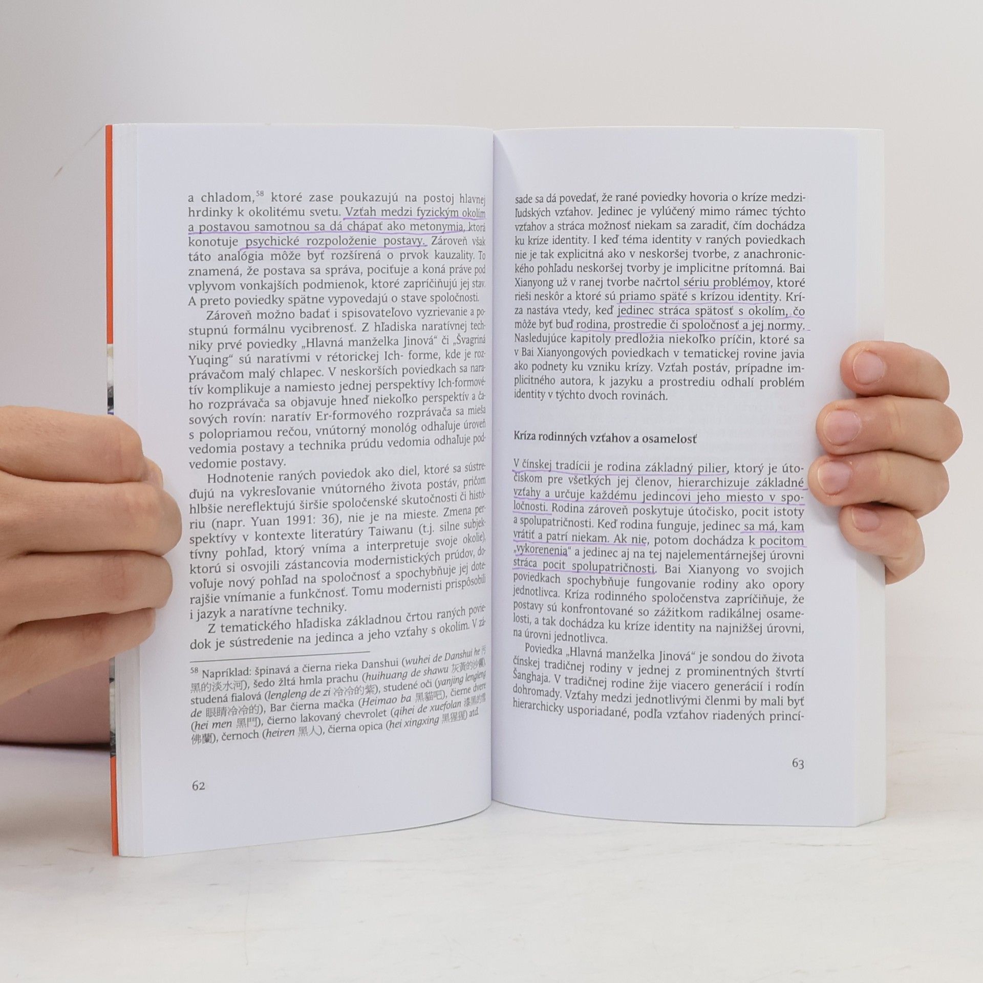 Táňa Dluhošová Medzi svetmi: Bai Xianyong a identita v taiwanskej literatúre
