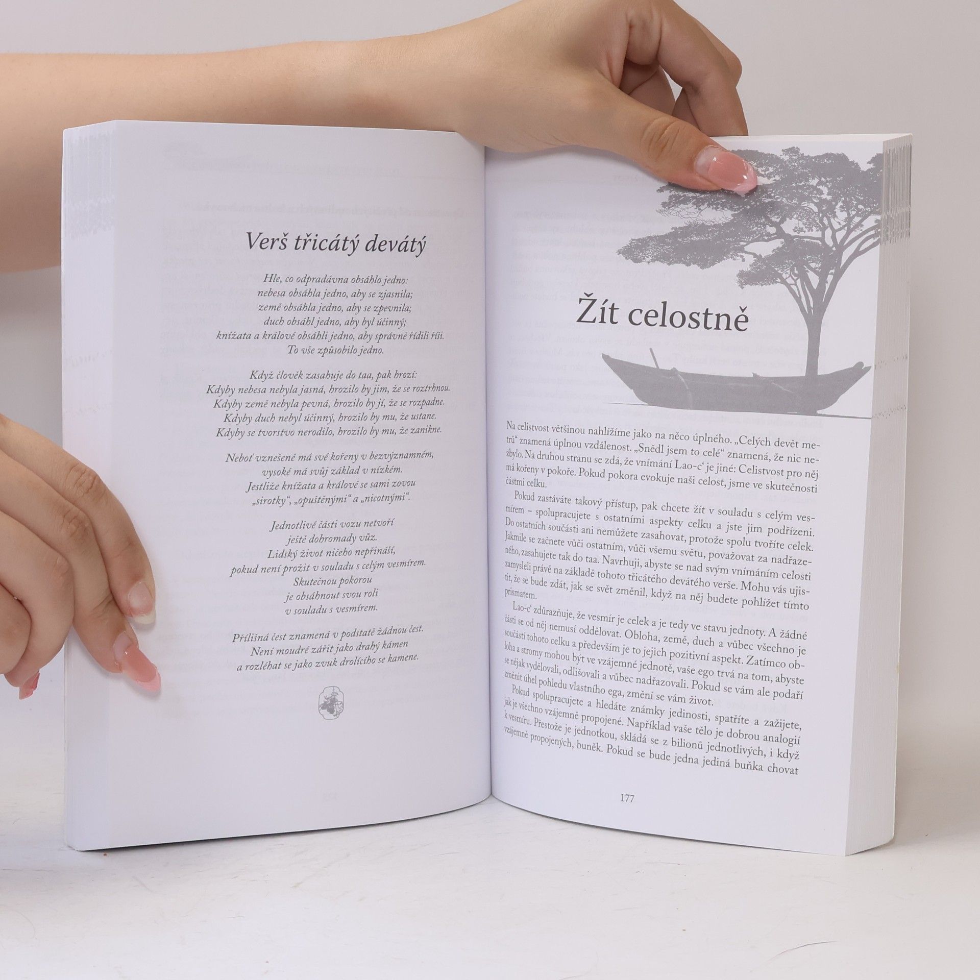 Wayne W. Dyer Změňte své myšlenky, změňte svůj život. Žít moudrostí Taa