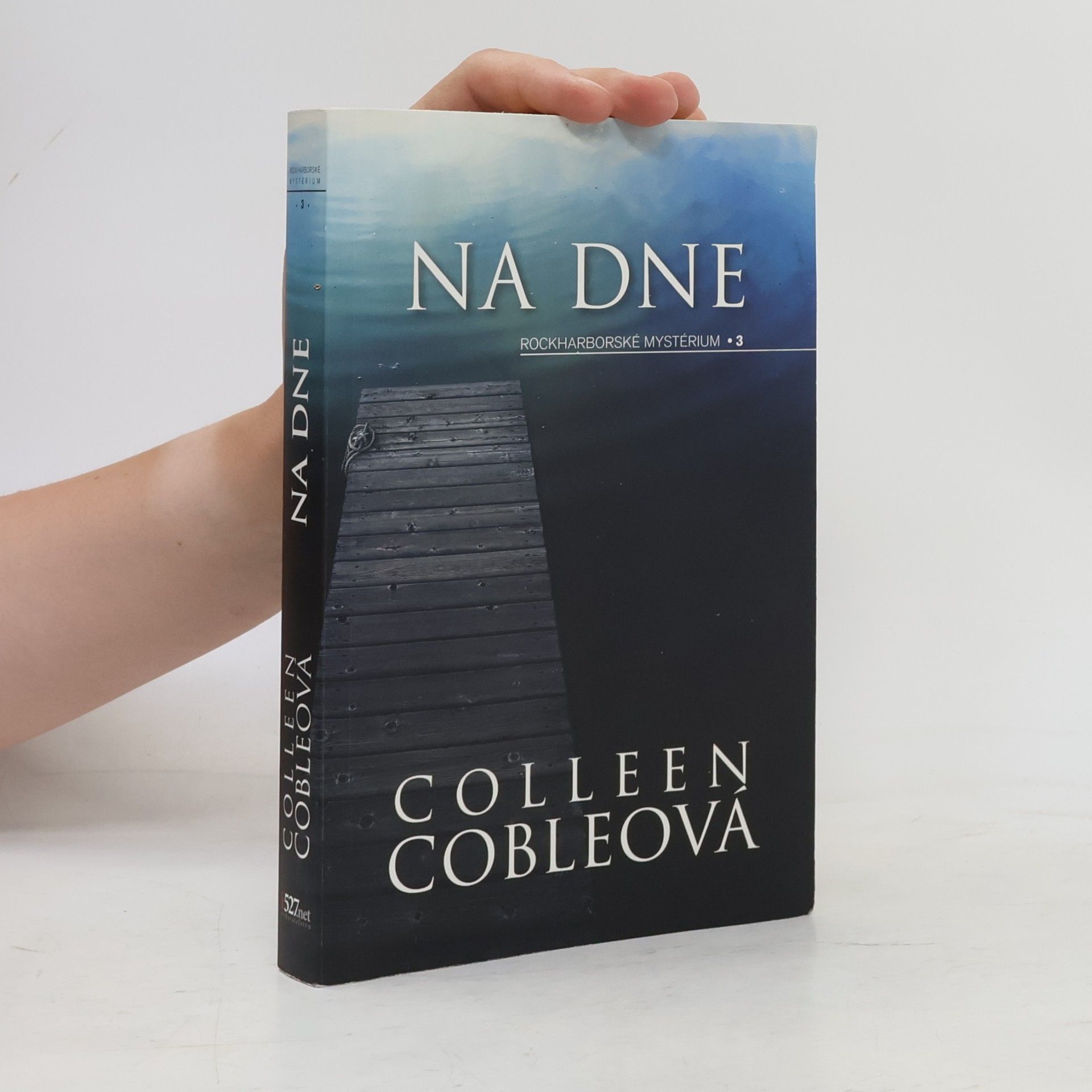 Colleen Coble Na dne