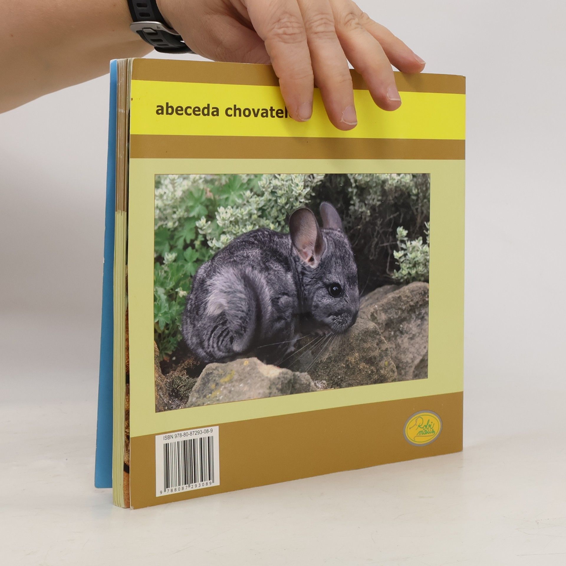 Hana Motyčková Činčila vlnatá