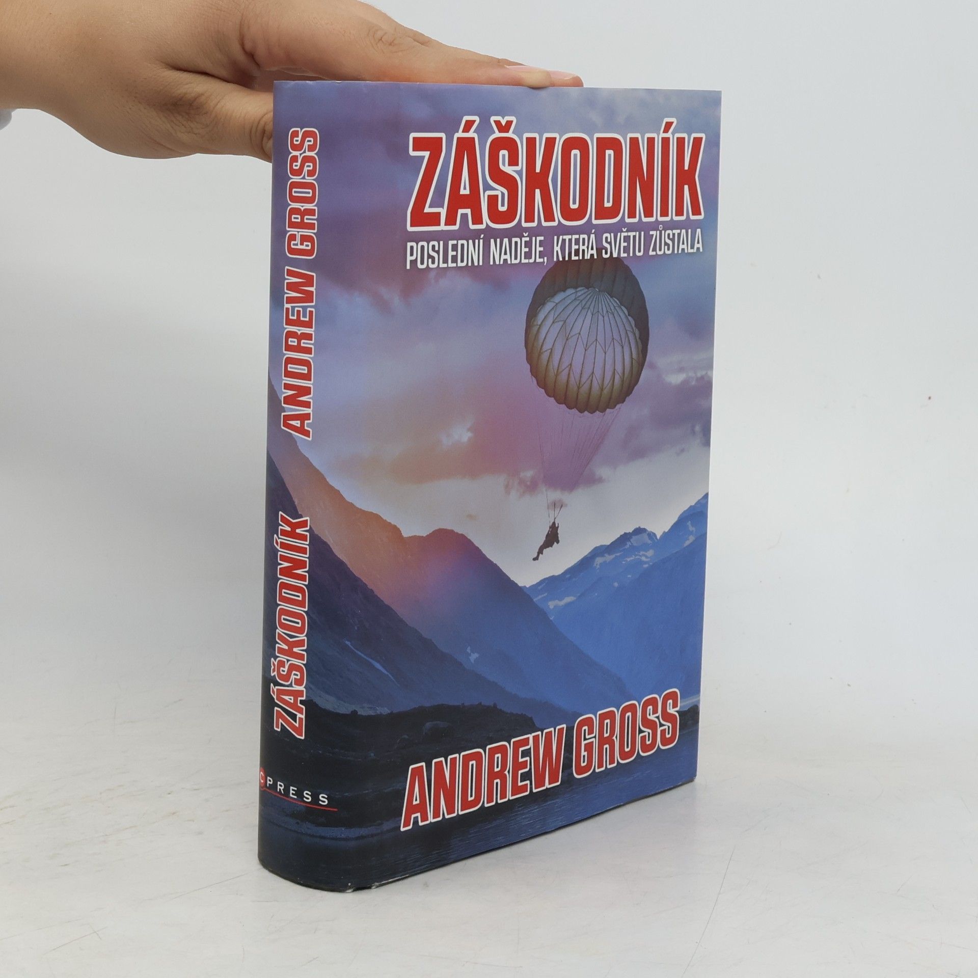 Andrew Gross Záškodník