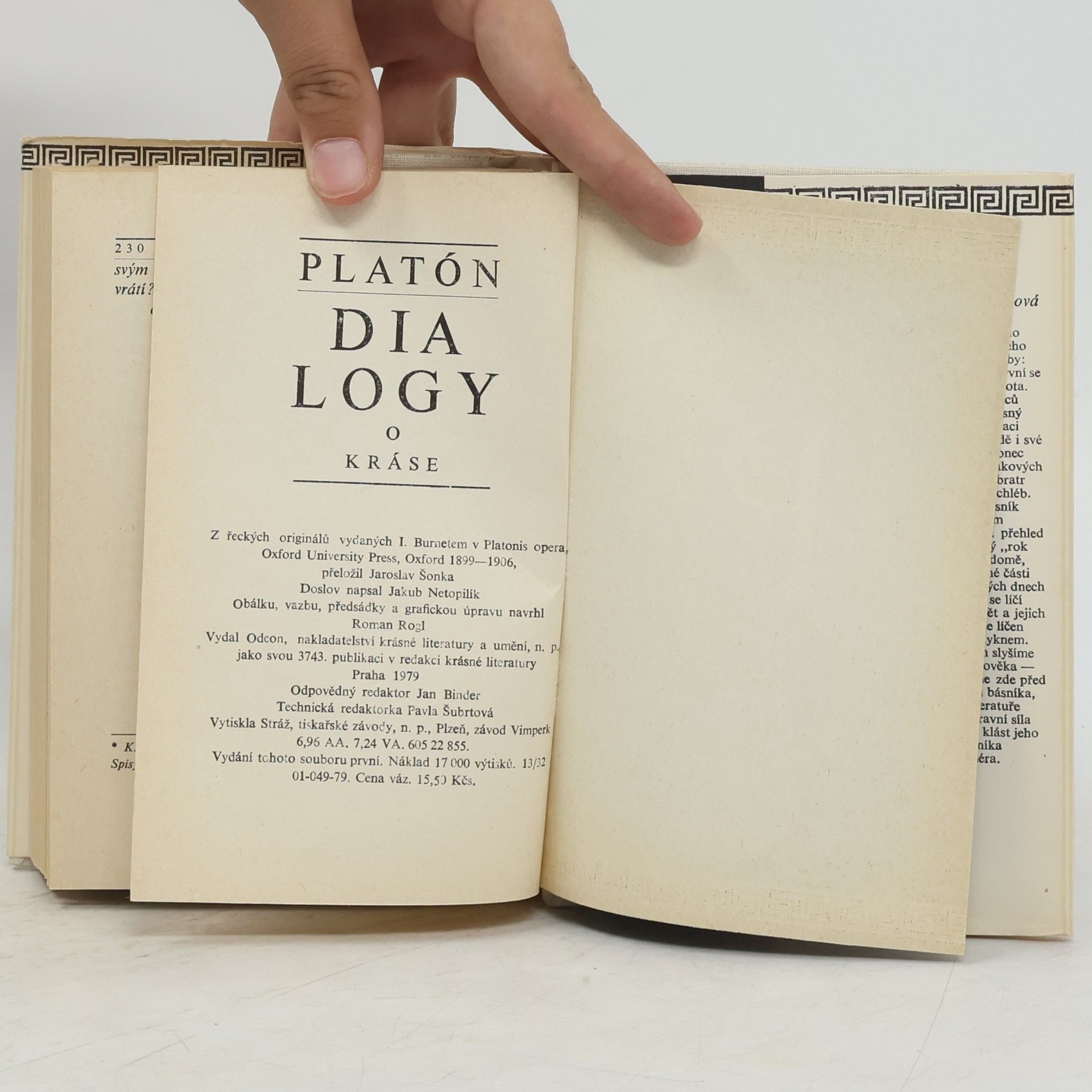 Platón Dialogy o kráse