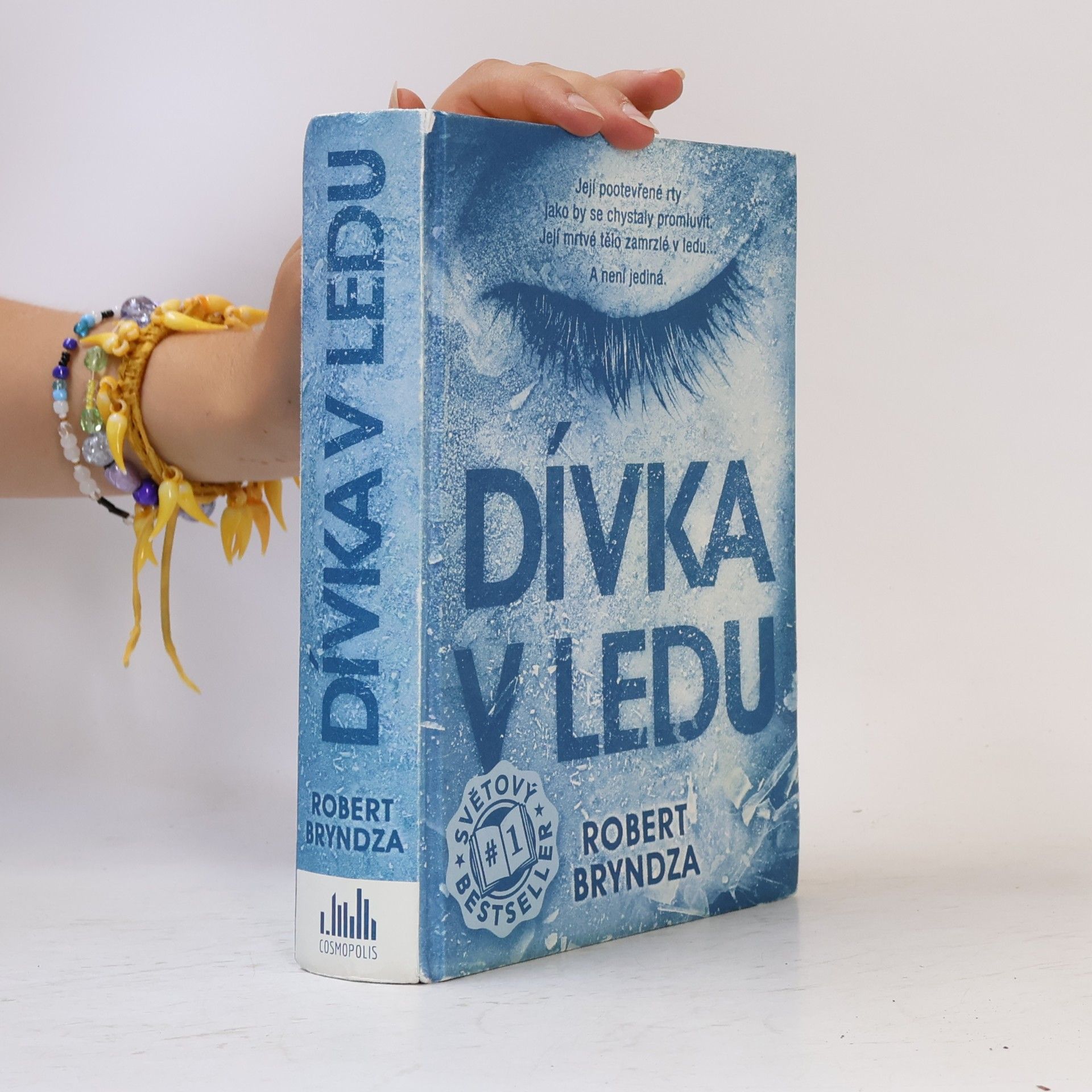 Robert Bryndza Dívka v ledu
