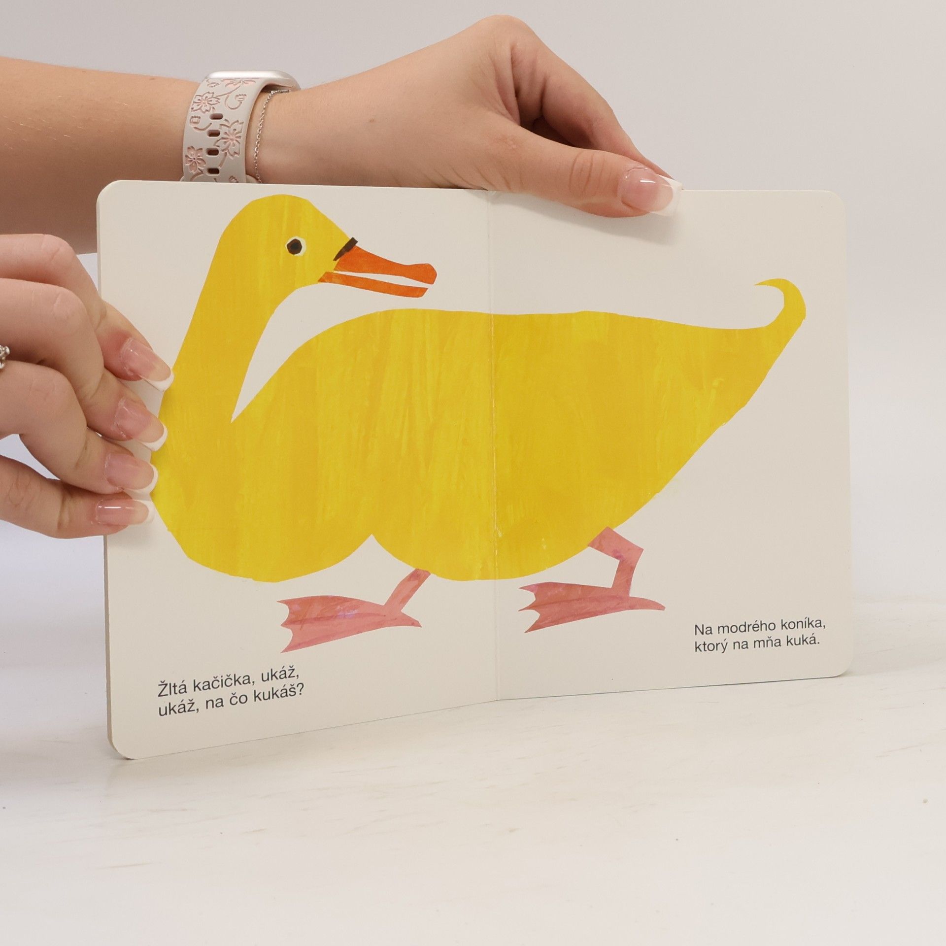 Eric Carle Medveď, ukáž na čo kukáš?