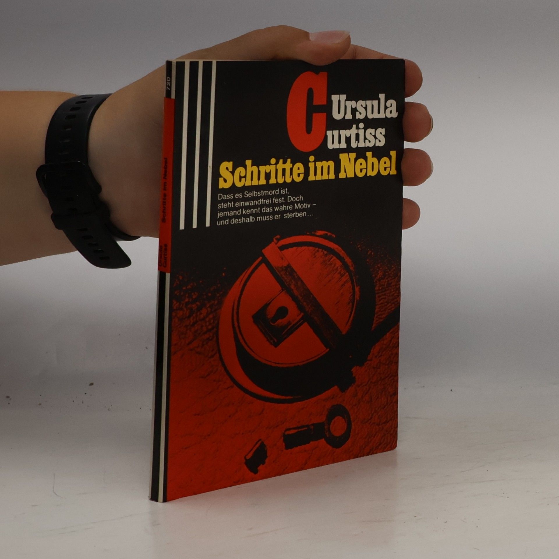 Ursula Curtiss Schritte im Nebel