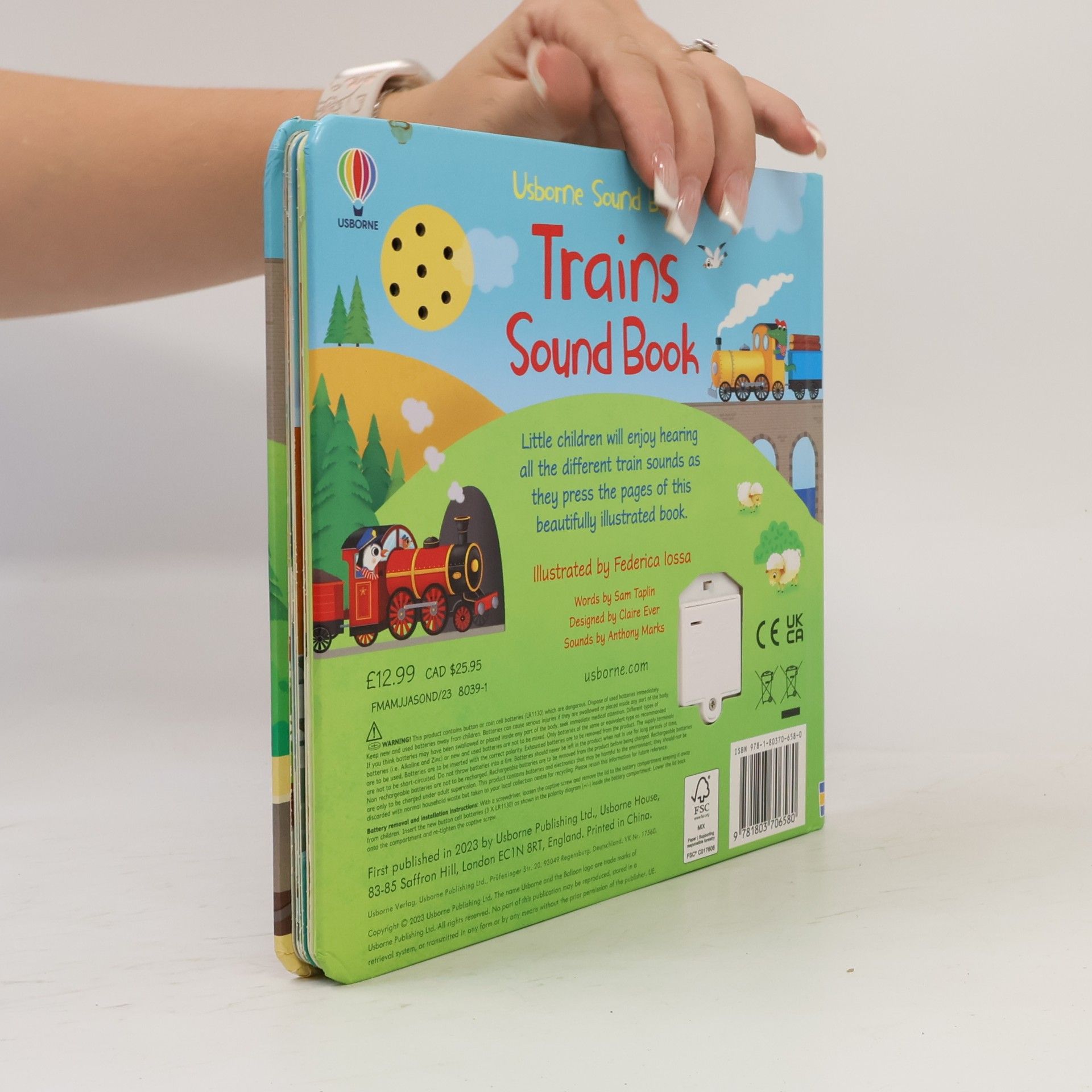 Sam Taplin Trains Sound Book